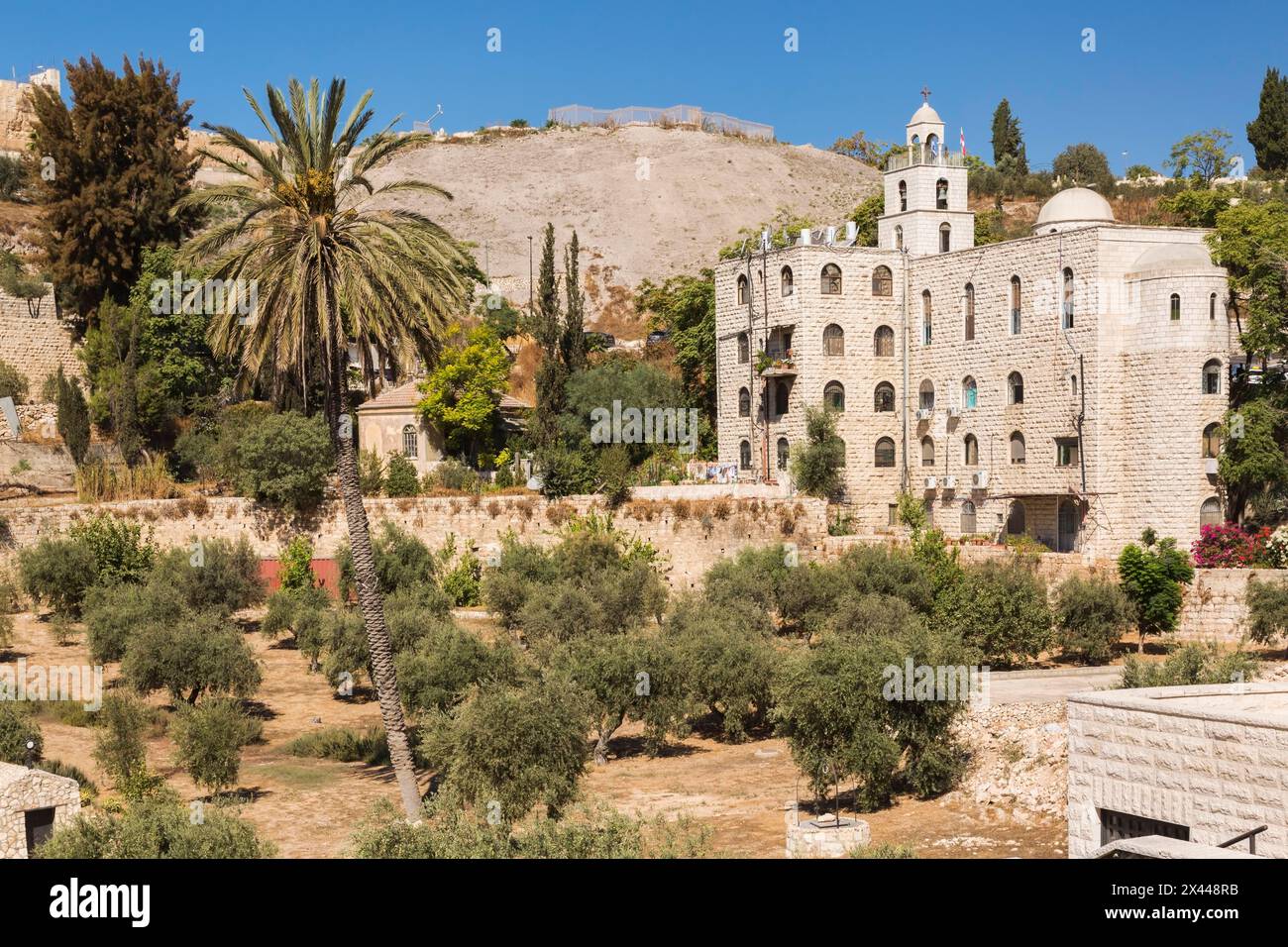 Friedhof mit Olivenbäumen am Fuße der befestigten Steinmauer der Altstadt von Jerusalem, Israel Stockfoto