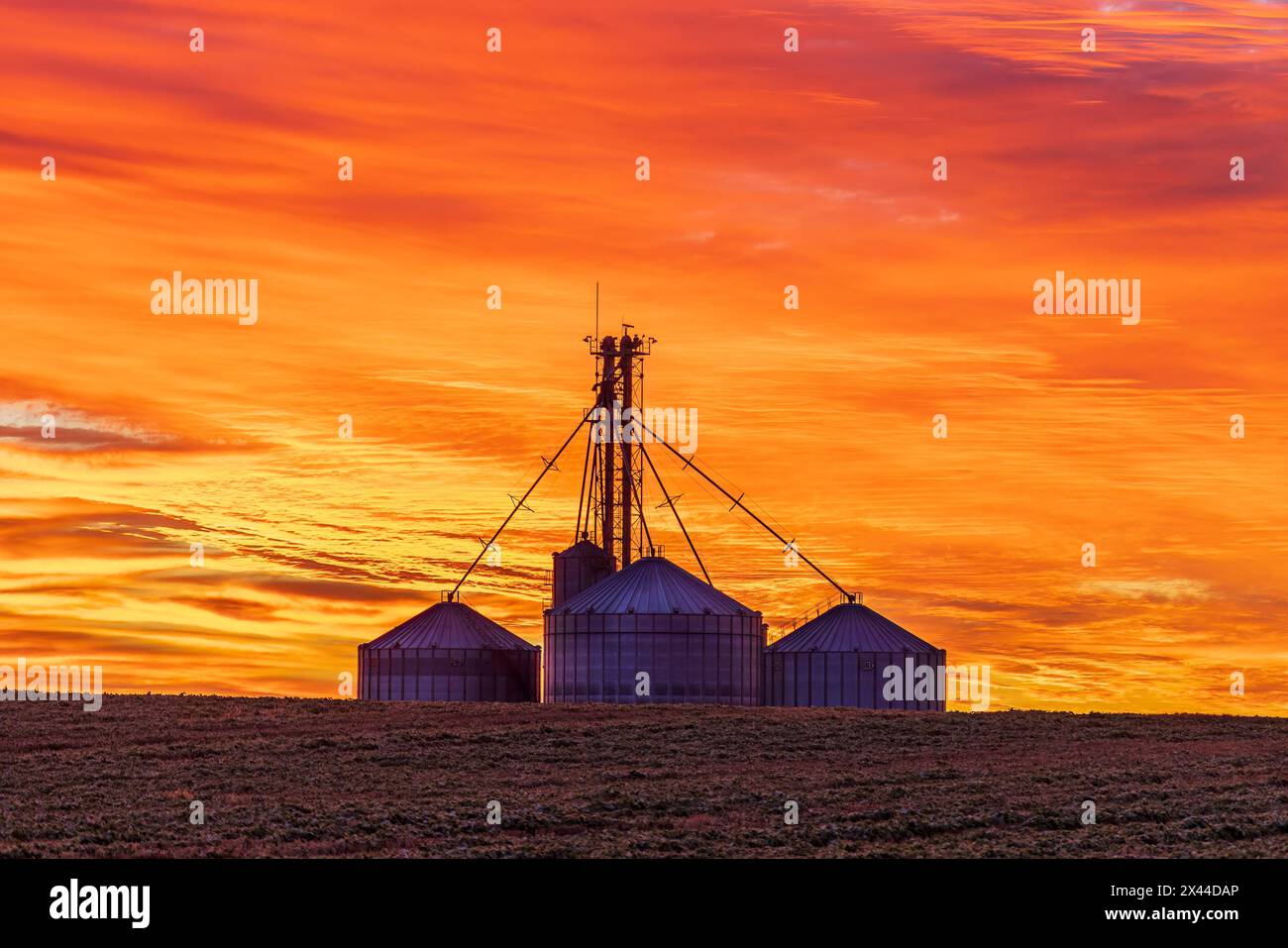 Getreidebehälter im Sunrise Clay County, Illinois. Stockfoto