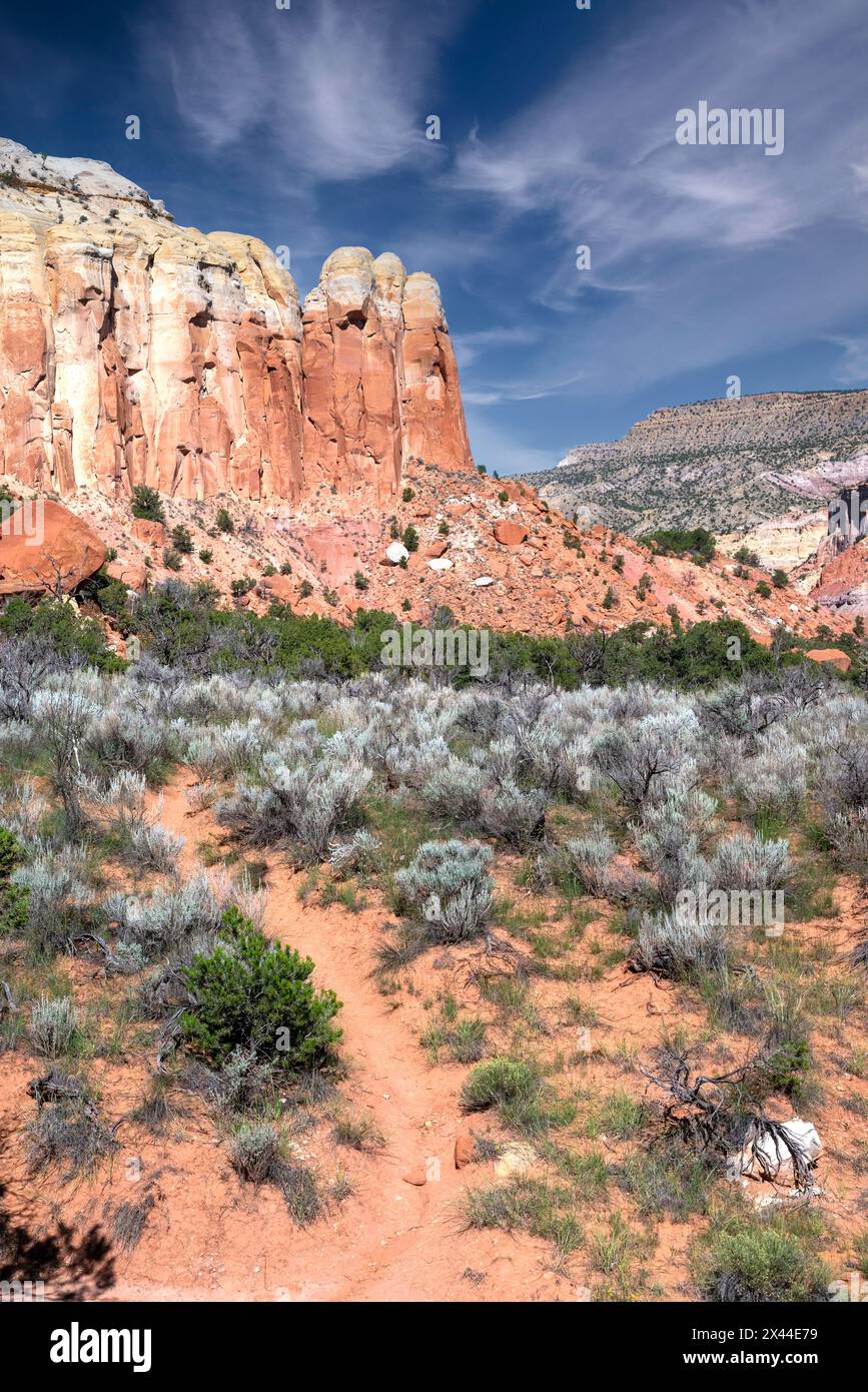 USA, New Mexico. Carson National Forest, in der Nähe der Ghost Ranch. Stockfoto