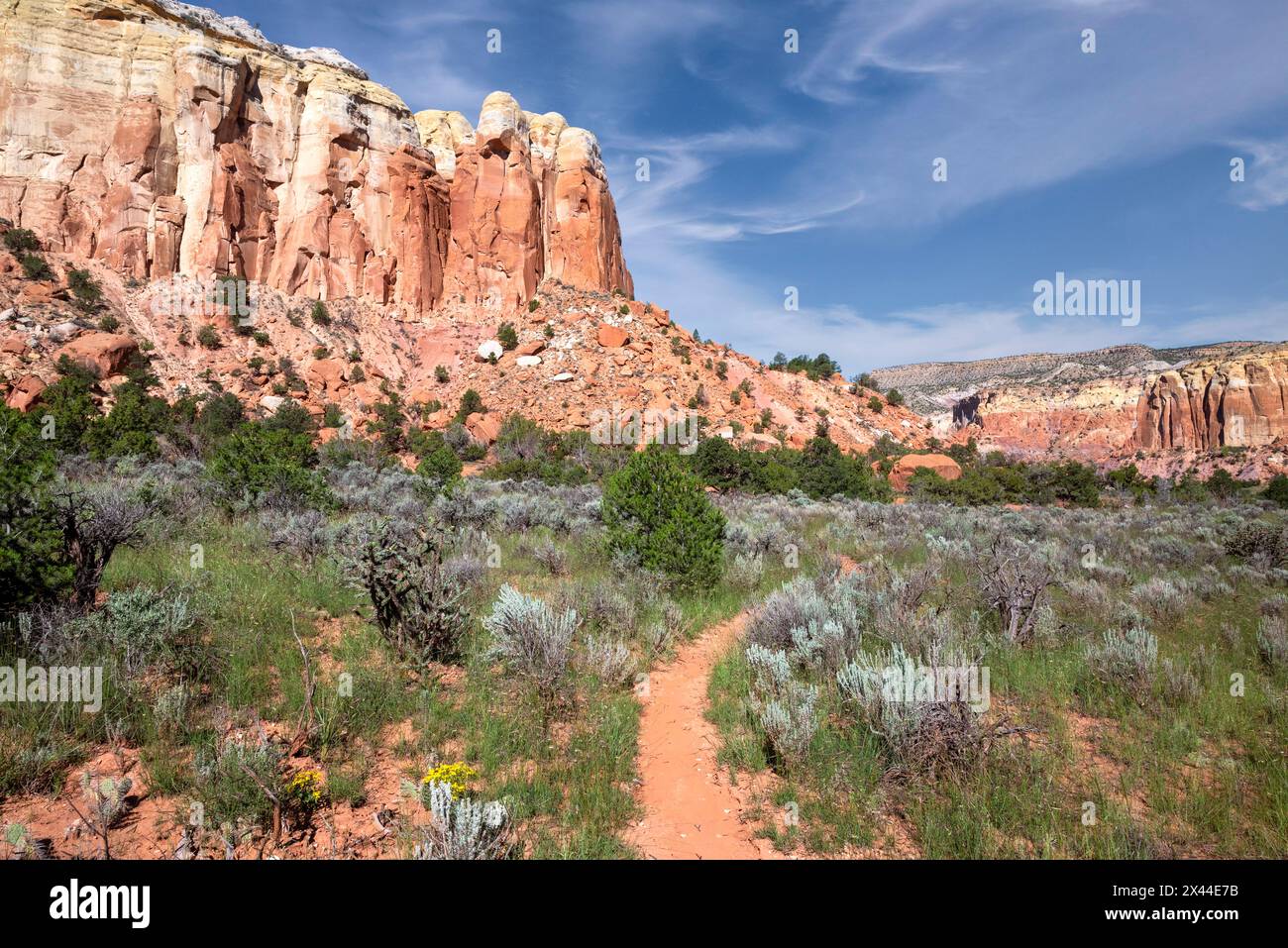 USA, New Mexico. Pfad im Carson National Forest, in der Nähe der Ghost Ranch. Stockfoto