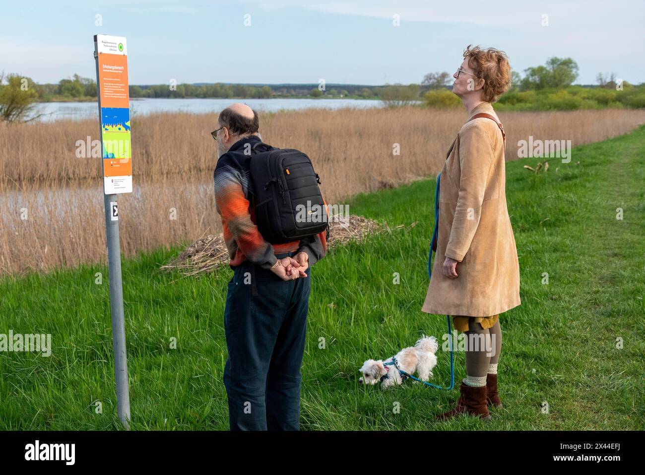 Mann und Frau, die Schild lesen, Infotafel, Hund, Elbtalaue bei Bleckede, Niedersachsen, Deutschland Stockfoto