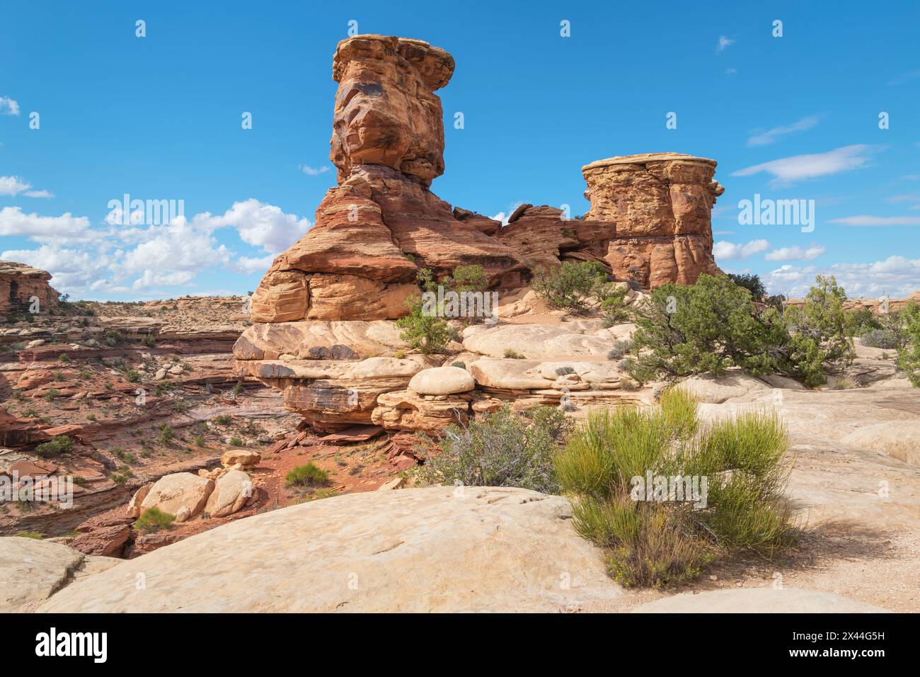 Big Spring Canyon im Needles District, Canyonlands National Park, Utah. Stockfoto