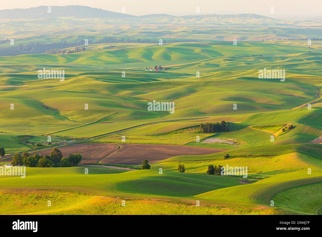 USA, Washington State, Palouse, Colfax. Blick vom Steptoe Butte. Stockfoto