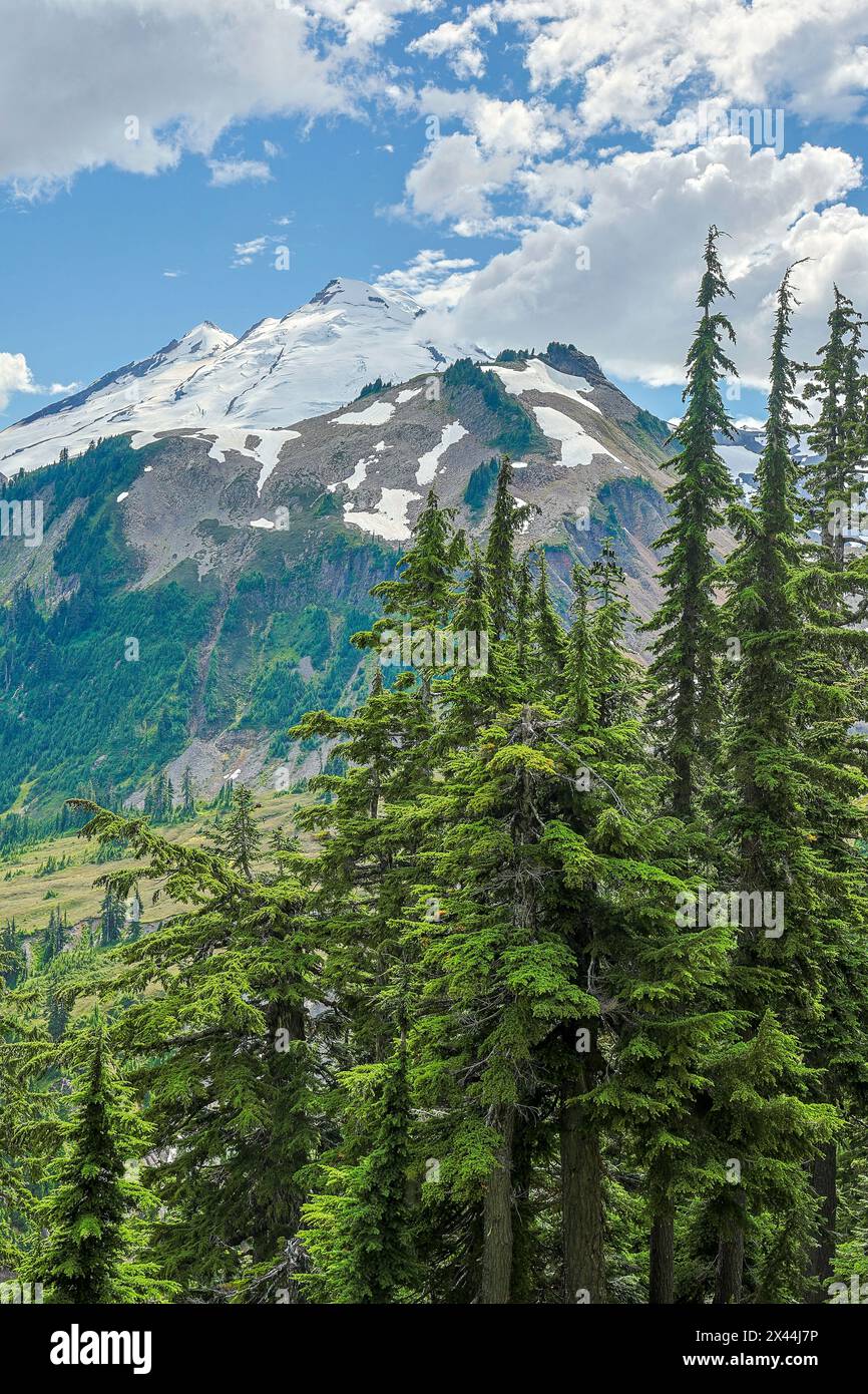 USA, Washington State, North Cascades National Park Stockfoto