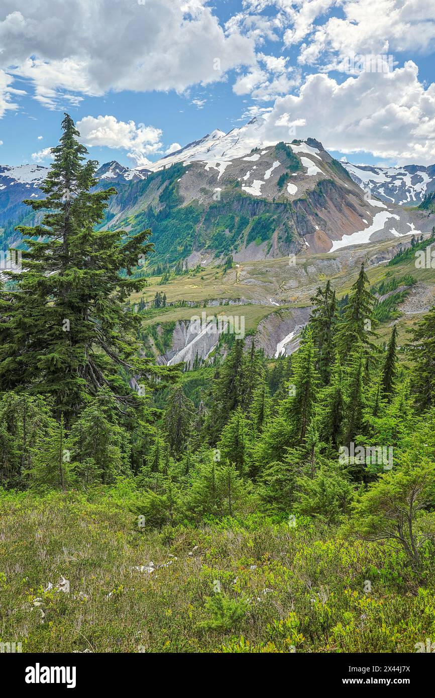 USA, Washington State, North Cascades National Park Stockfoto