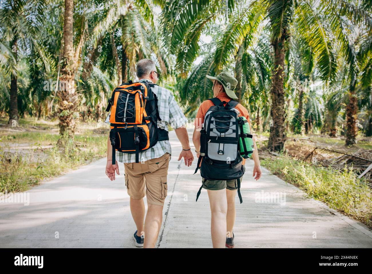 Blick auf die gesamte Länge von männlichen und weiblichen Touristen, die auf einem Fußweg inmitten von Palmen laufen Stockfoto