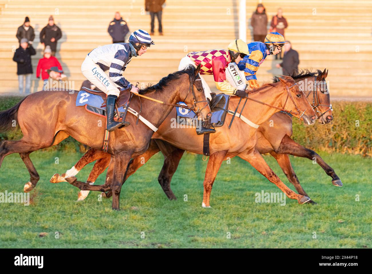 National Hunt Flat Race, Rennen 7, in Wincanton, Donnerstag, 20. Januar 2022 Stockfoto