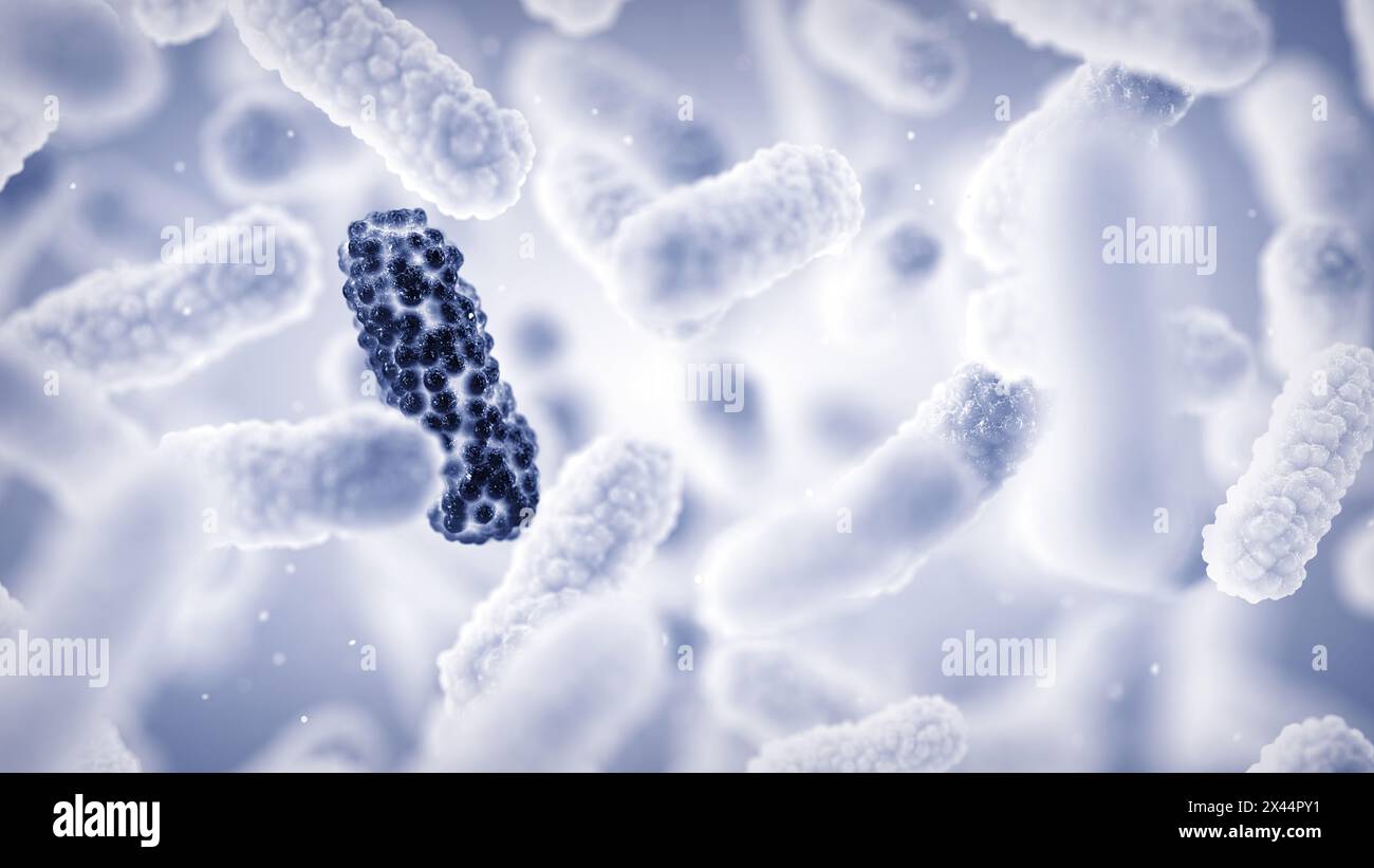 Eine Antibiotikaresistenz (AMR) tritt auf, wenn sich Bakterien im Laufe der Zeit verändern und die Fähigkeit entwickeln, antimikrobiellen Behandlungen standzuhalten Stockfoto