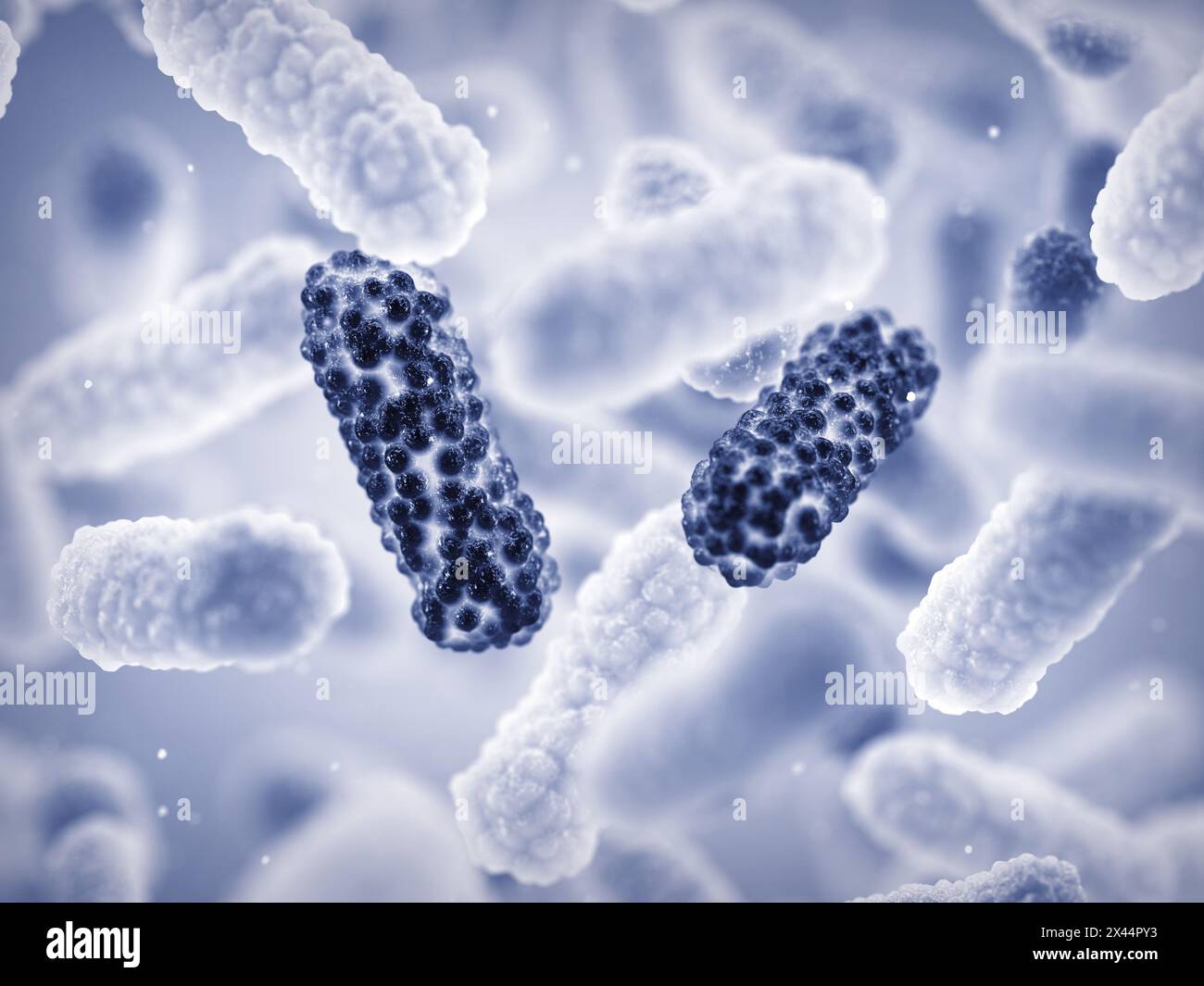 Eine antimikrobielle Resistenz (AMR) tritt auf, wenn sich Bakterien im Laufe der Zeit verändern und die Fähigkeit entwickeln, die Medikamente, die sie abtöten sollen, zu besiegen. Stockfoto