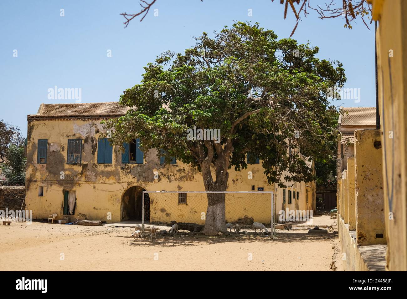 Goree, Senegal. April 2024. © Nicolas Remene/Le Pictorium/MAXPPP - Goree 23/04/2024 Nicolas Remene/Le Pictorium - 23/04/2024 - Senegal/Dakar/Goree - Habitations et ruelles colorees typiques de Goree au Senegal, le 23. april 2024. - Valeurs ACtuelles out, no jdd, jdd out, RUSSIA OUT, NO RUSSIA OUT #norussia/23/04/2024 - Senegal/Dakar/Goree Island - typische bunte Häuser und Gassen in Goree, Senegal, 23. April 2024. Quelle: MAXPPP/Alamy Live News Stockfoto