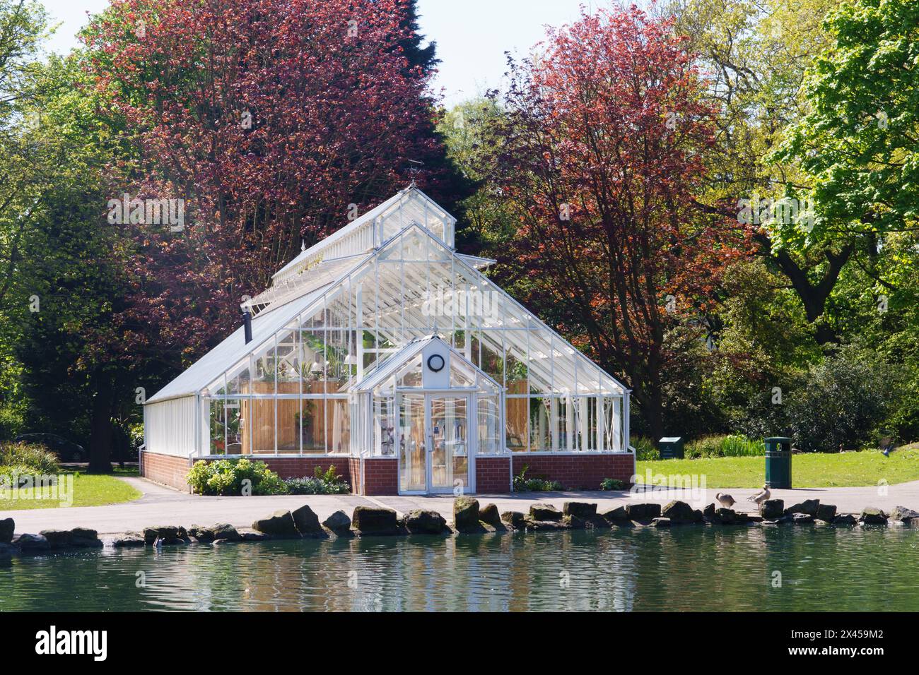 Pearson Park in der Avenues Area, in Hull, East Yorkshire, Großbritannien, zeigt das neue Gewächshaus. Stockfoto