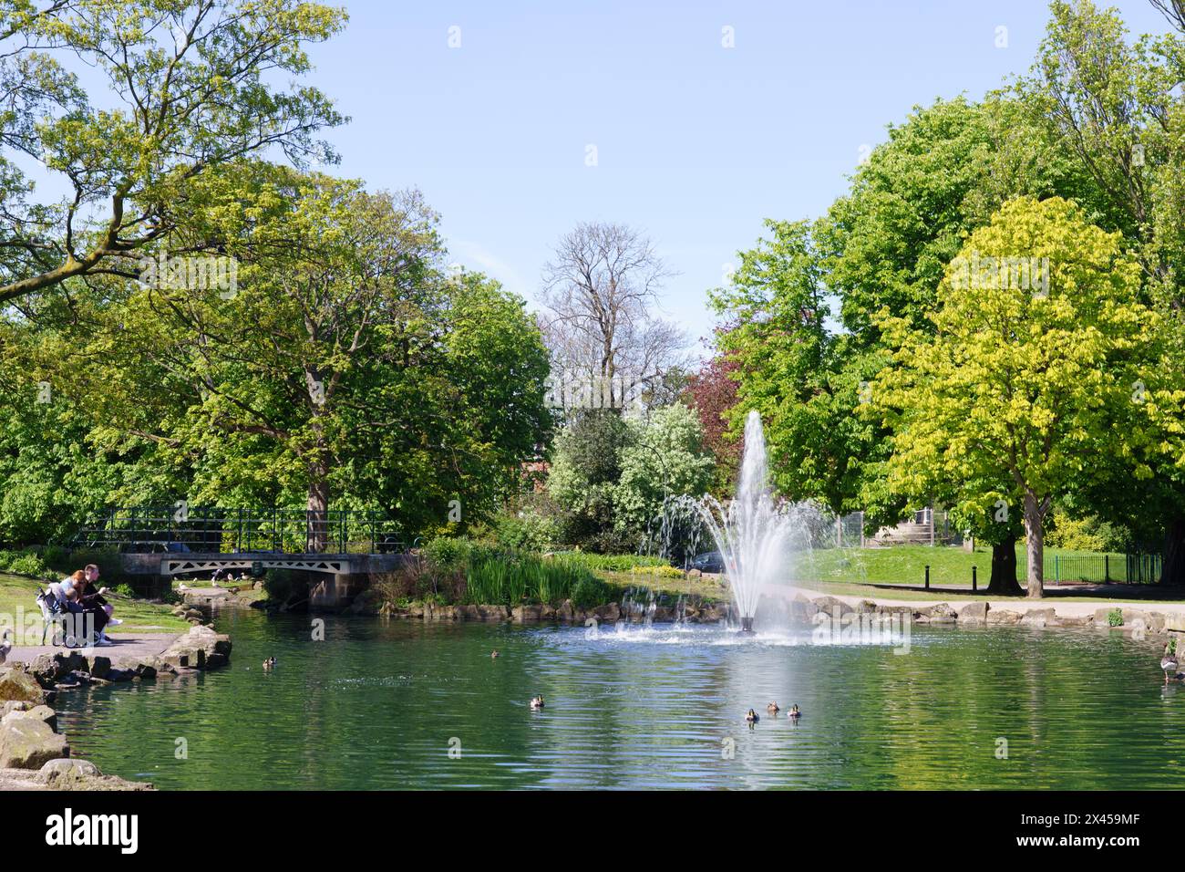 Pearson Park im Avenues Area, in Hull, East Yorkshire, Großbritannien Stockfoto