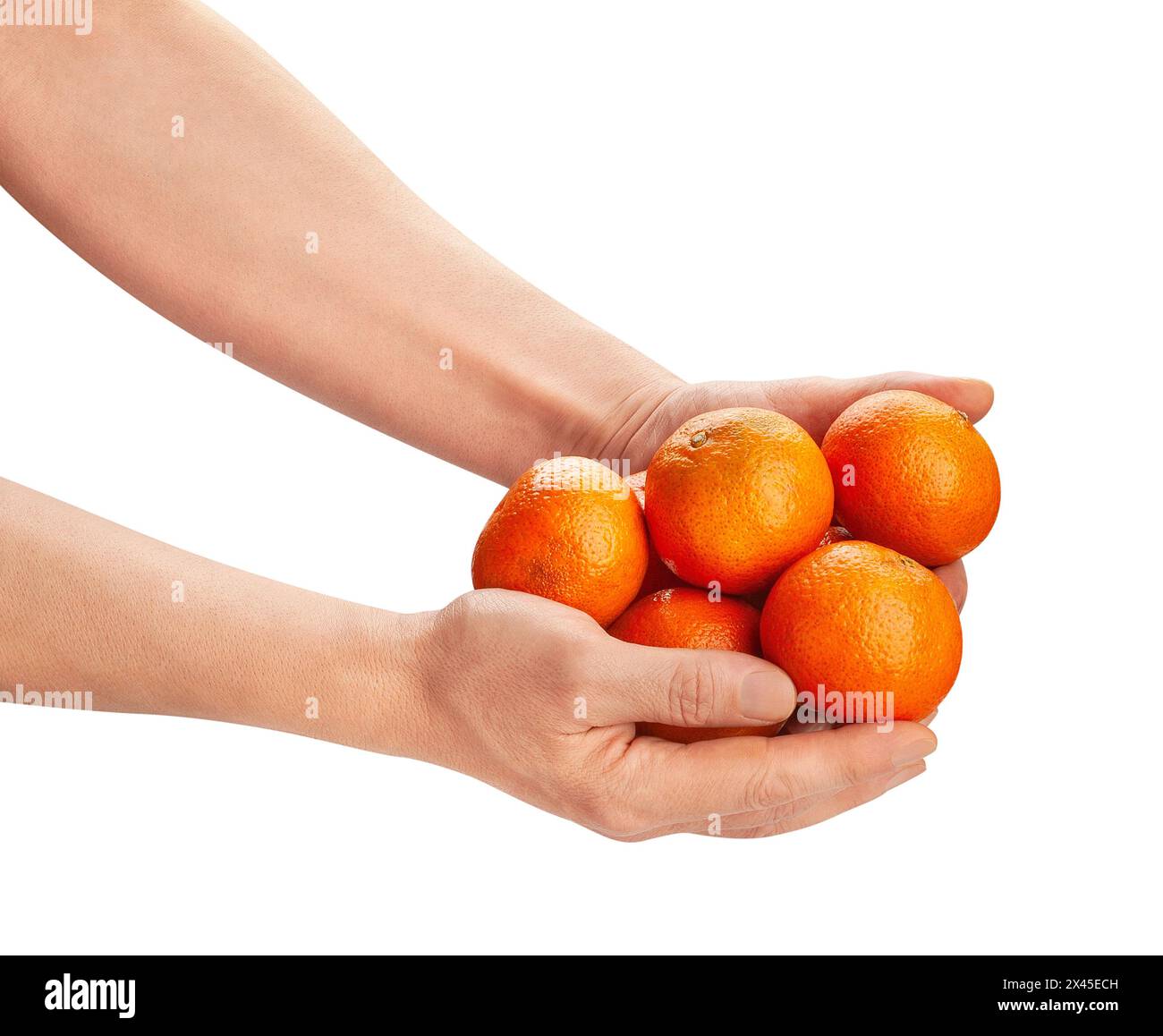 Mandarine in Handpfad isoliert auf weiß Stockfoto