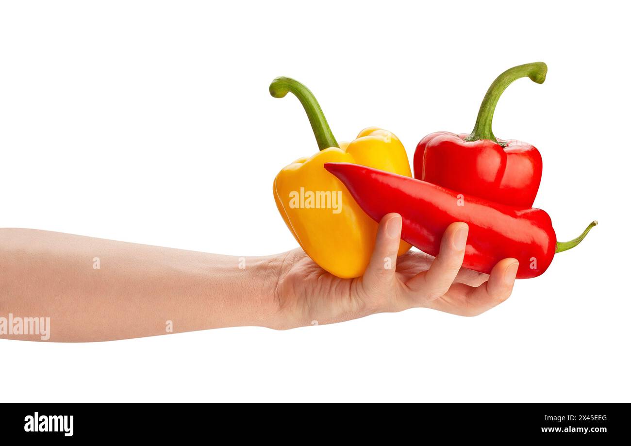 Paprika mischen sich im Handweg isoliert auf weiß Stockfoto