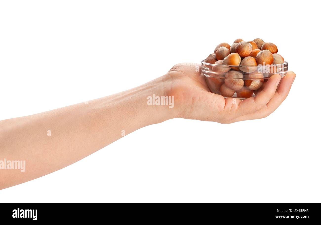 Haselnussschale im Handweg isoliert auf weiß Stockfoto