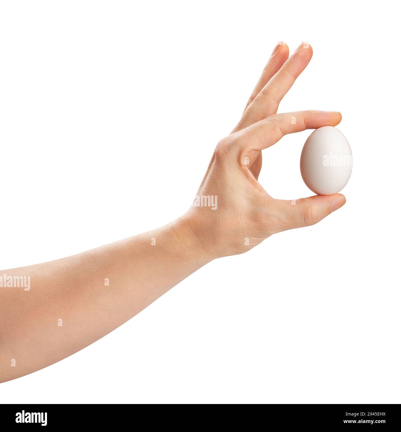 Ei im Handweg isoliert auf Weiss Stockfoto