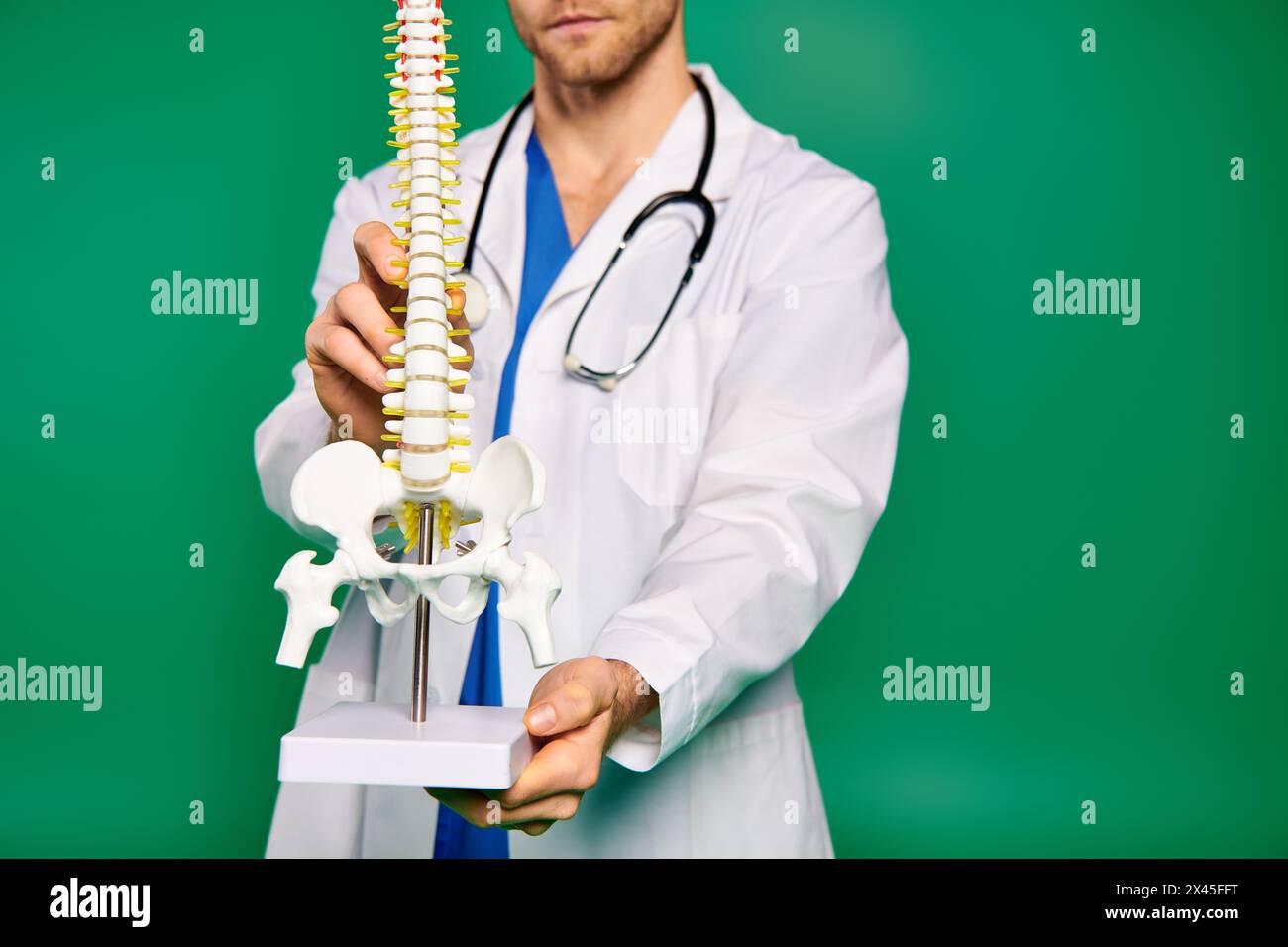 Ein gutaussehender Arzt in einem weißen medizinischen Gewand hält zart ein menschliches Skelettmodell. Stockfoto