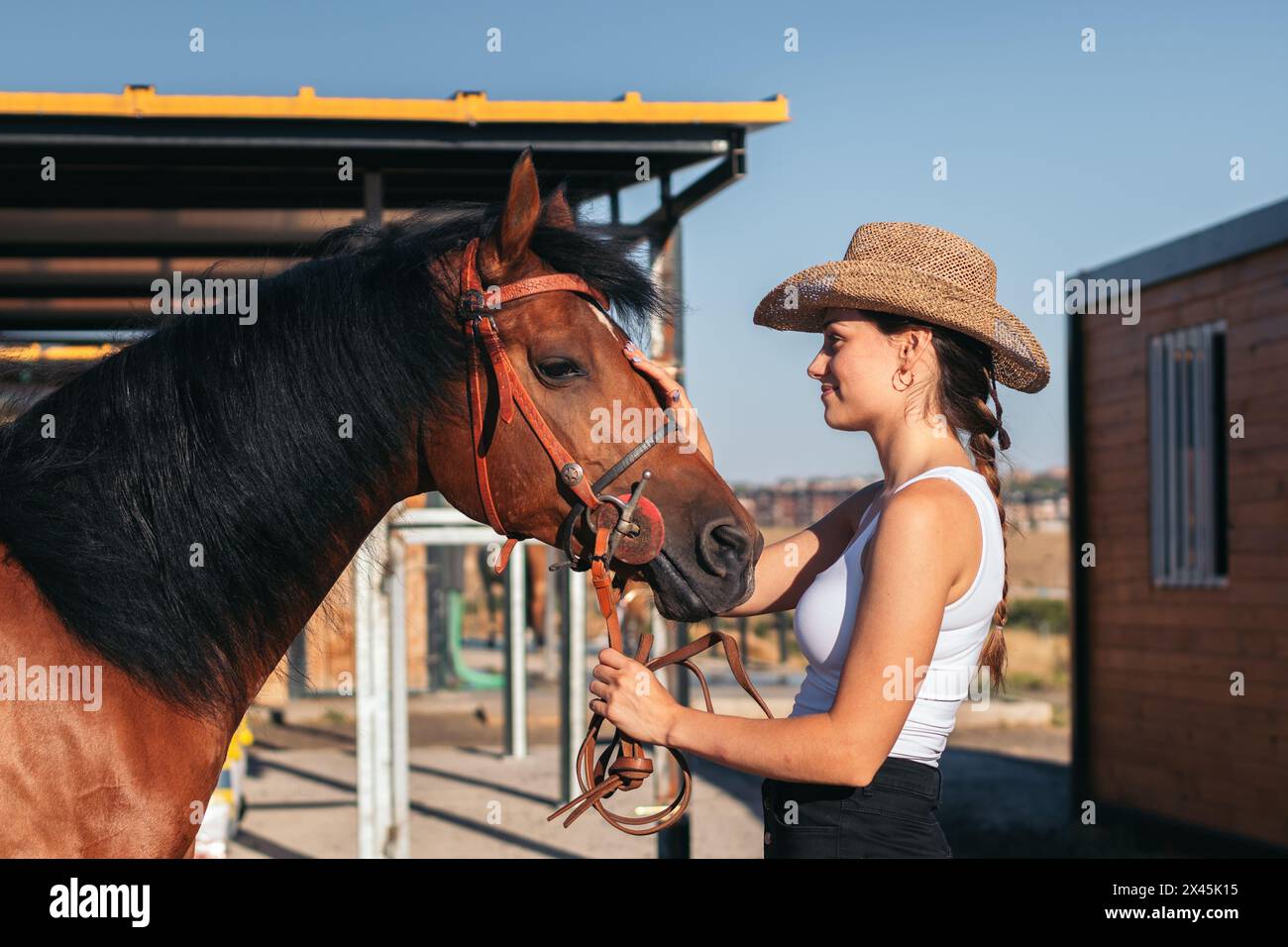 Eine junge Frau, die sich um ihr Pferd im Stall kümmert. Das Pferd wirkt ruhig und entspannt, während die Betreuungsperson ihm Aufmerksamkeit und Sorgfalt schenkt. Stockfoto