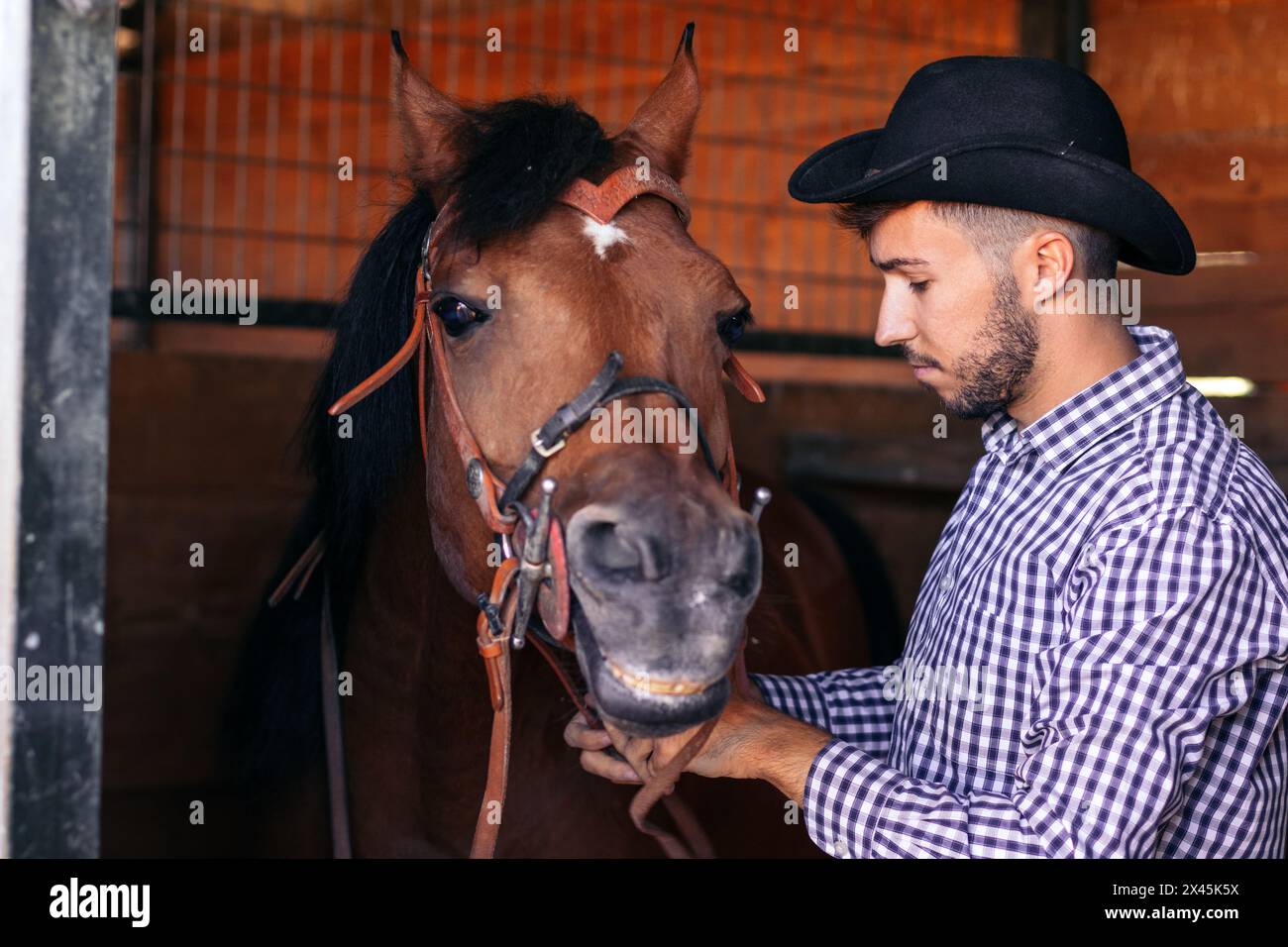 Junger Mann, der sich um ihr Pferd im Stall kümmert. Das Pferd wirkt ruhig und entspannt, während die Betreuungsperson ihm Aufmerksamkeit und Sorgfalt schenkt. Stockfoto