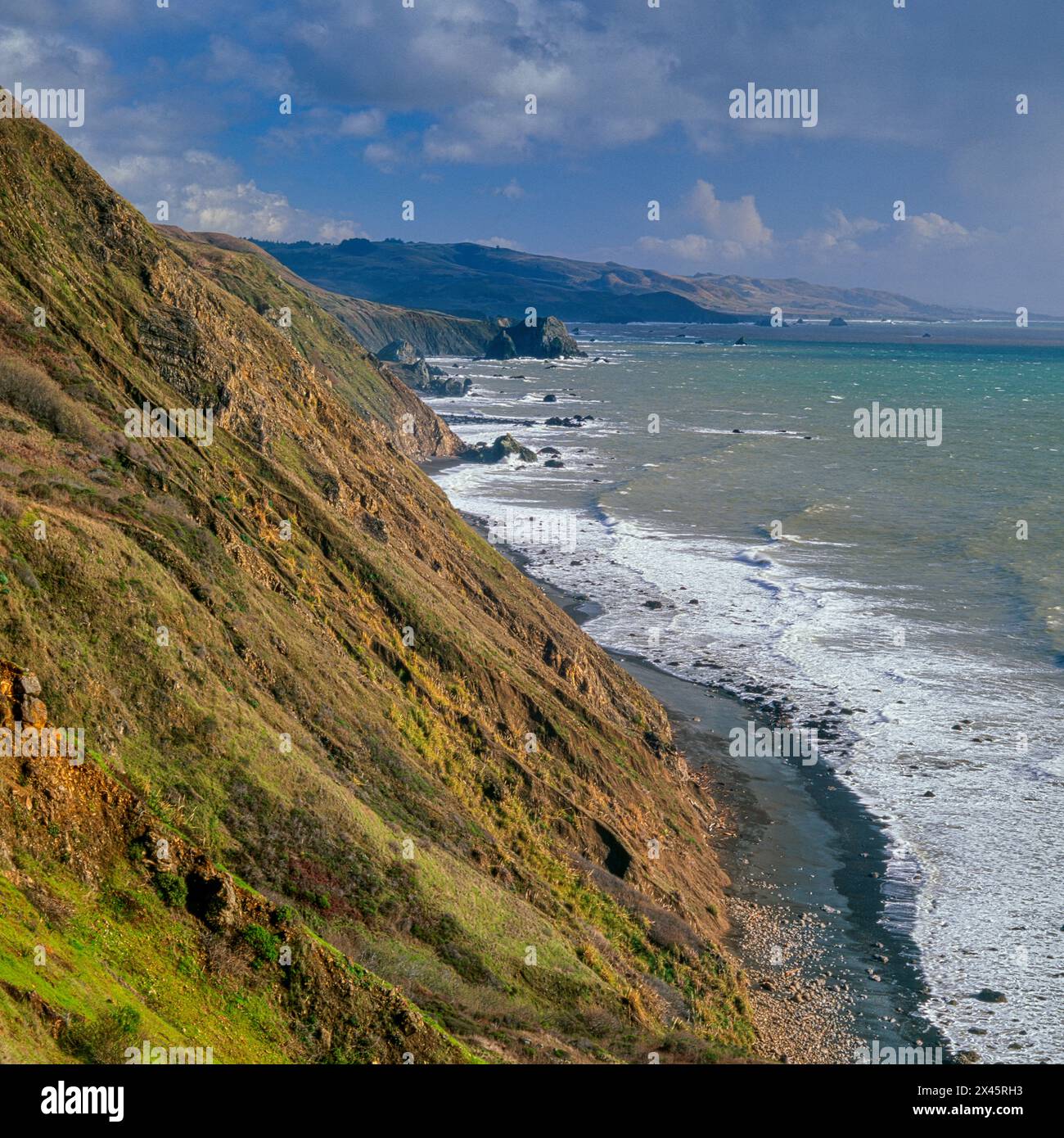 Lost Coast, Sonoma Coast State Beach, Kalifornien Stockfoto