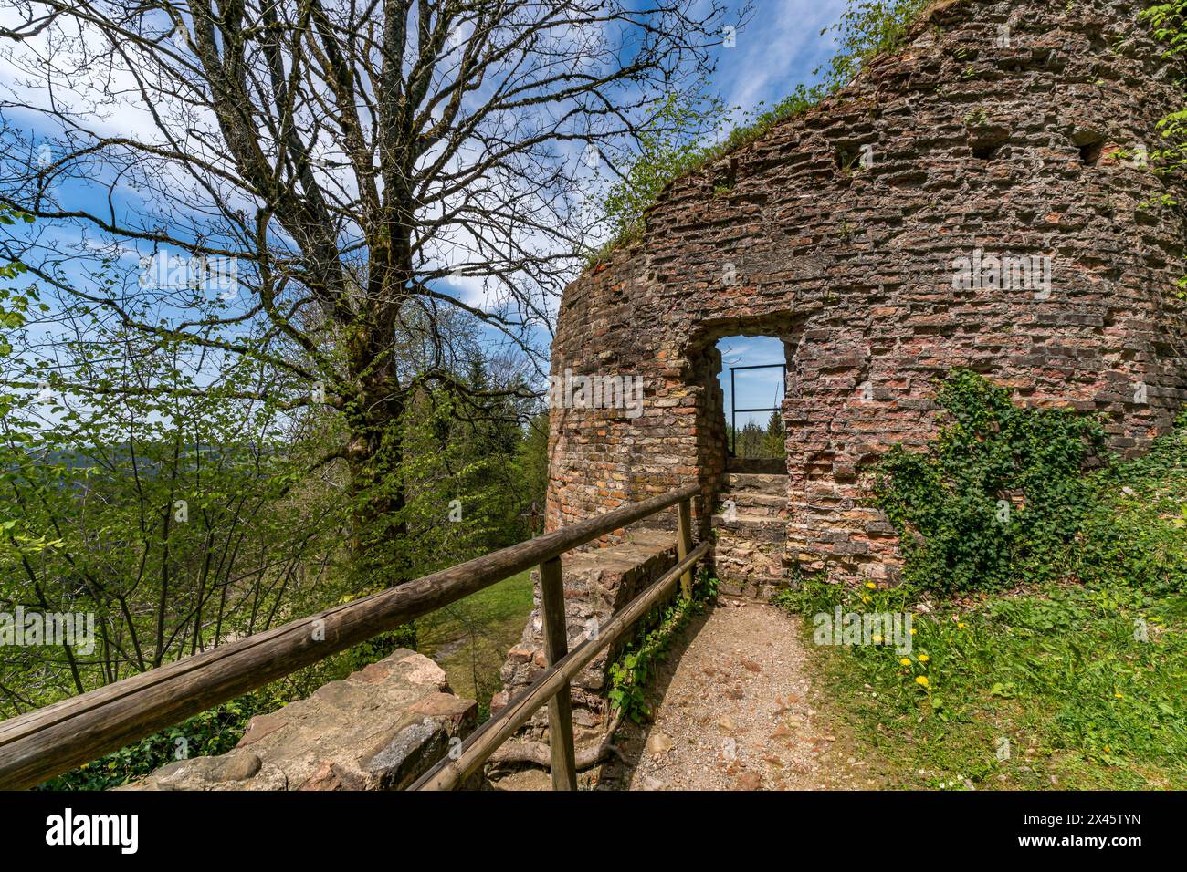 Frühlingswanderung zur Burgruine Alttrauchburg über den Sonneckgrat bei Kleinweiler im Allgau Stockfoto