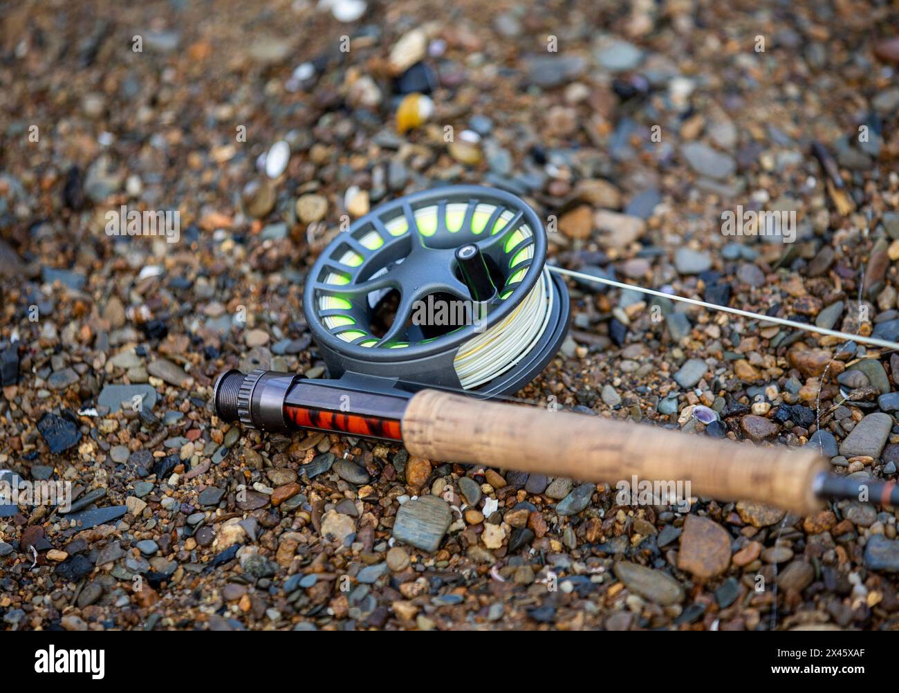 Fliegenfischrute Aus Kohlefaser - Leicht & Teleskopierbar Mit Korkgriff