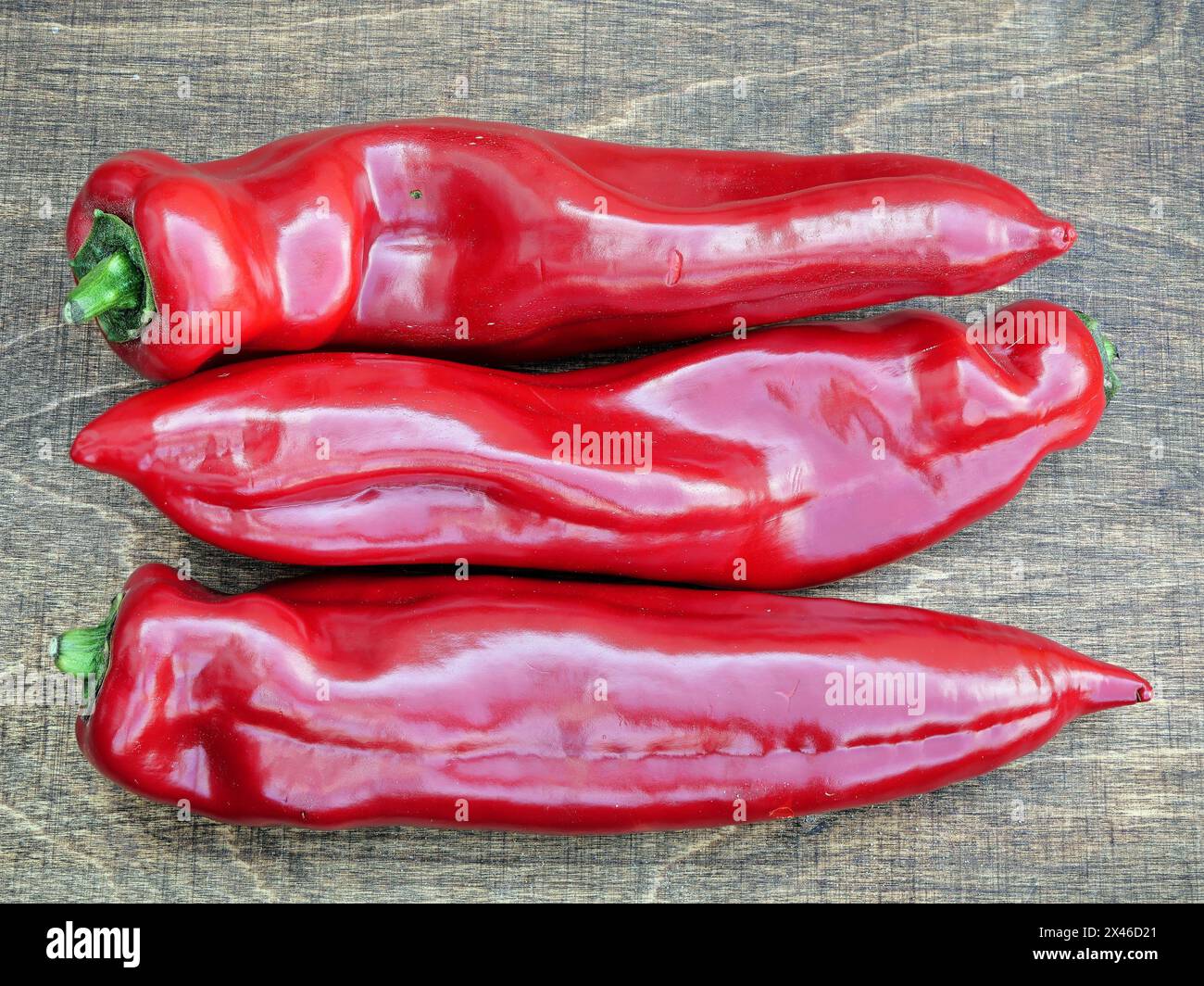 Rote und gelbe Spitzpaprika: Vitaminreich, Antioxidantien, gesunder Snack. Fördert die Verdauung, das Immunsystem, die Gesundheit des Herzens und der Augen. Ideal für Salate. Stockfoto