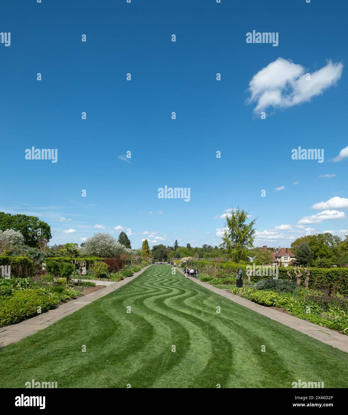 Ordentlich gemähter Rasen mit ungewöhnlichem Wellenstreifen. Fotografiert im Frühling im Wisley Garden, Woking, Surrey, Großbritannien. Stockfoto