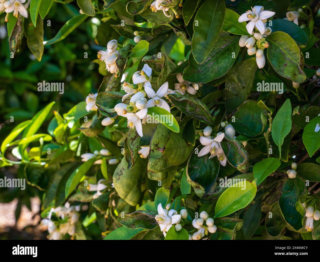 Hier beginnt die lebensmittelproduktion -Fotos und -Bildmaterial in ...