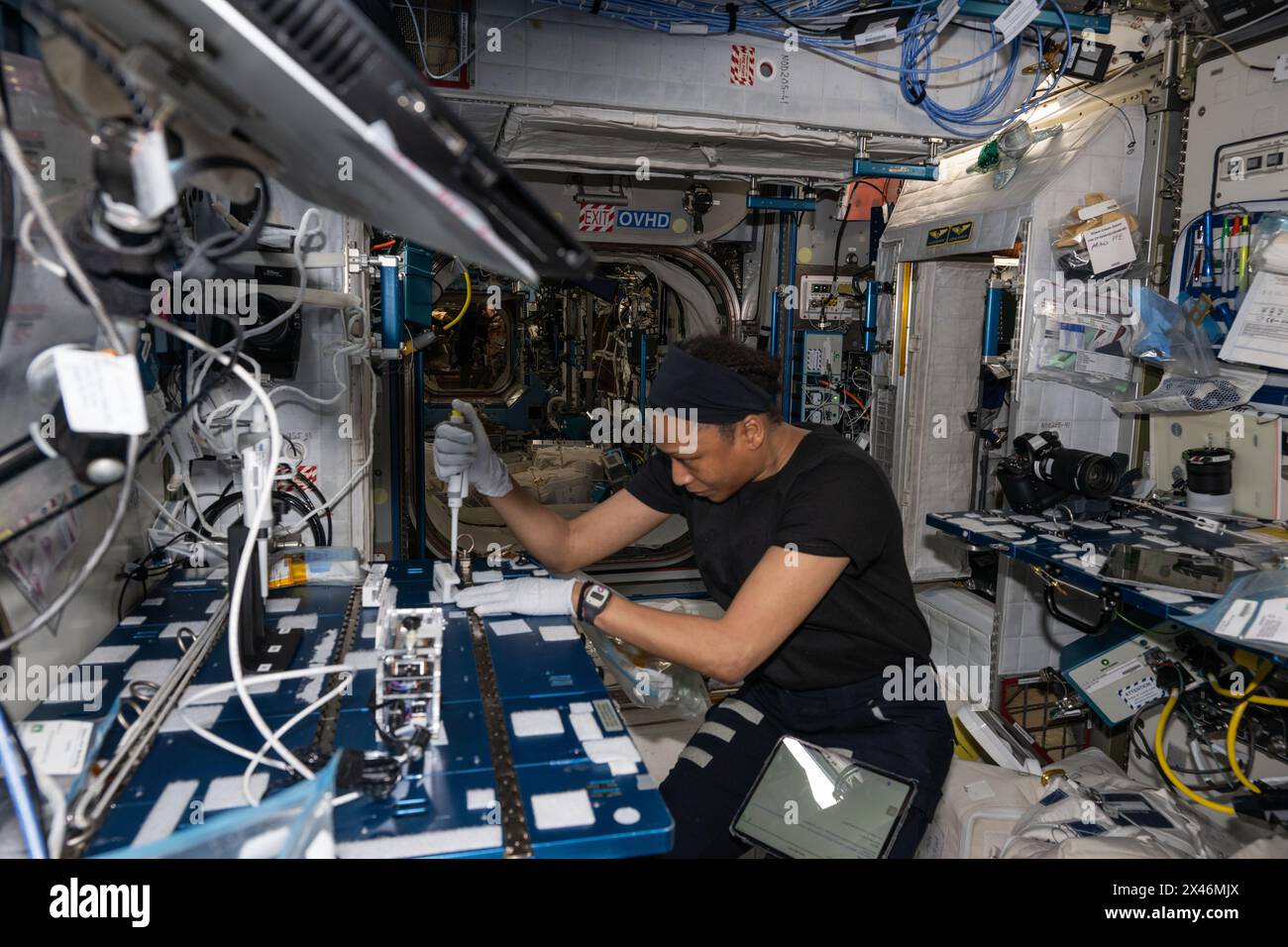 Internationale Raumstation, Erdumlaufbahn. 24. April 2024. Die NASA-Astronautin und Expedition 71 Flight Engineer Jeanette Epps extrahiert DNA-Proben aus Bakterienkolonien für die genomische Analyse im Harmony-Modul der Internationalen Raumstation am 24. April 2024 in der Erdumlaufbahn. Die Forschungsarbeiten können Forschern helfen, zu verstehen, wie sich Bakterien an die Schwerelosigkeit anpassen und Wege zu entwickeln, um Weltraumbesatzungen und Menschen auf der Erde zu schützen. Quelle: Astronaut bereitgestellt/NASA/Alamy Live News Stockfoto
