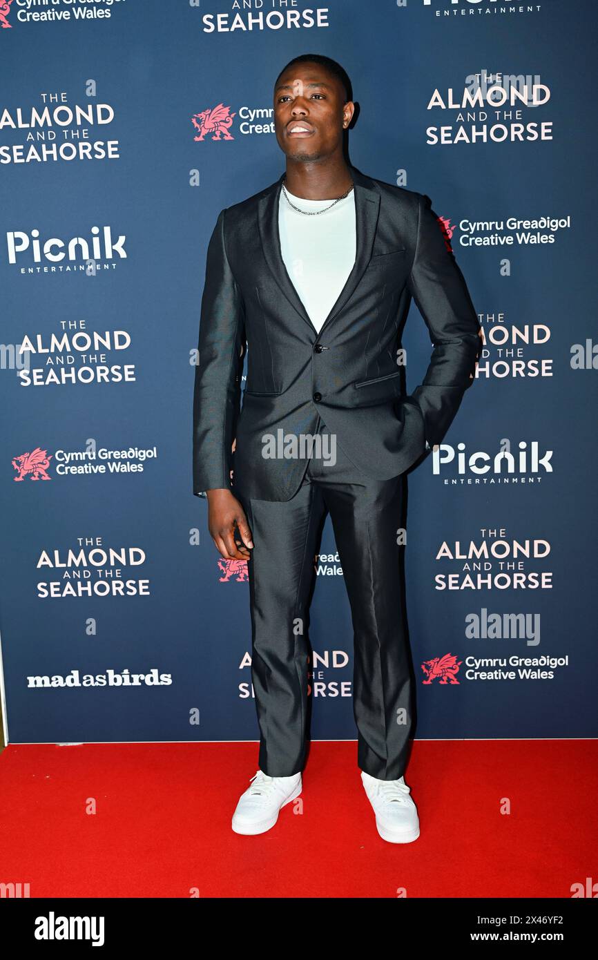 LONDON, ENGLAND – APRIL 30: Patrick Elue nimmt am 30. April 2024 an der britischen Premiere von The Almond and the Seahorse im Vue West End Teil. Stockfoto