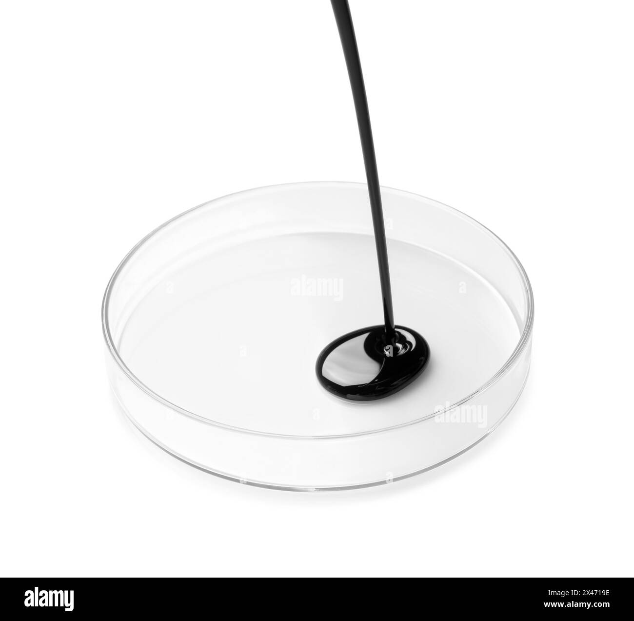 Schwarzes Rohöl in Petrischale auf weißem Hintergrund gießen Stockfoto