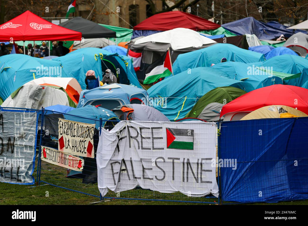 Die Demonstranten richteten am Samstagnachmittag etwa 100 Zelte auf, mit der Absicht, auf unbestimmte Zeit auf dem unteren Feld der McGill University zu bleiben. Stockfoto