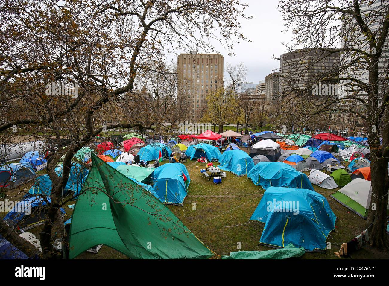 Die Demonstranten richteten am Samstagnachmittag etwa 100 Zelte auf, mit der Absicht, auf unbestimmte Zeit auf dem unteren Feld der McGill University zu bleiben. Stockfoto