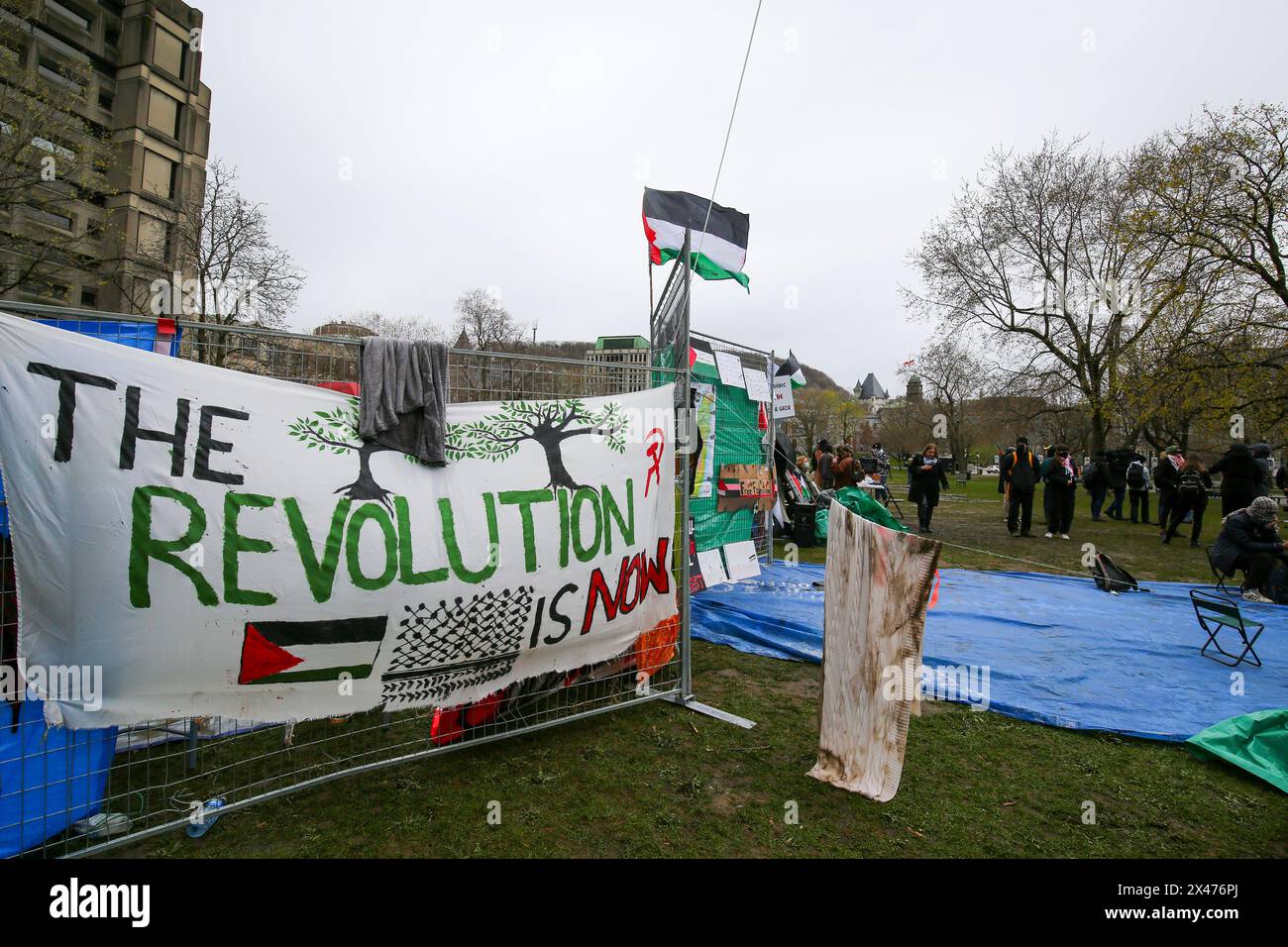 Die Demonstranten richteten am Samstagnachmittag etwa 100 Zelte auf, mit der Absicht, auf unbestimmte Zeit auf dem unteren Feld der McGill University zu bleiben. Stockfoto