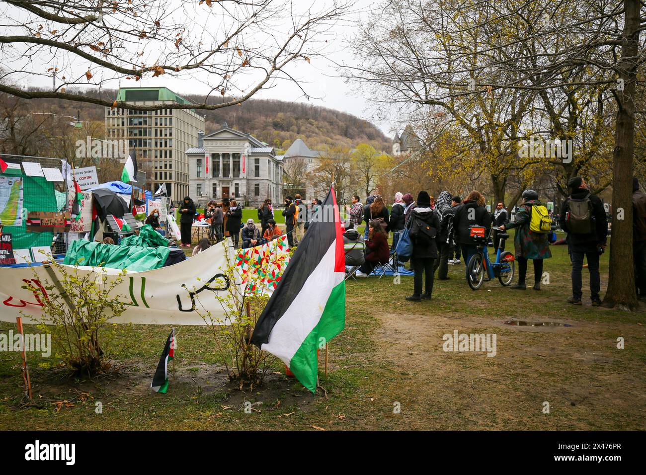 Die Demonstranten richteten am Samstagnachmittag etwa 100 Zelte auf, mit der Absicht, auf unbestimmte Zeit auf dem unteren Feld der McGill University zu bleiben. Stockfoto