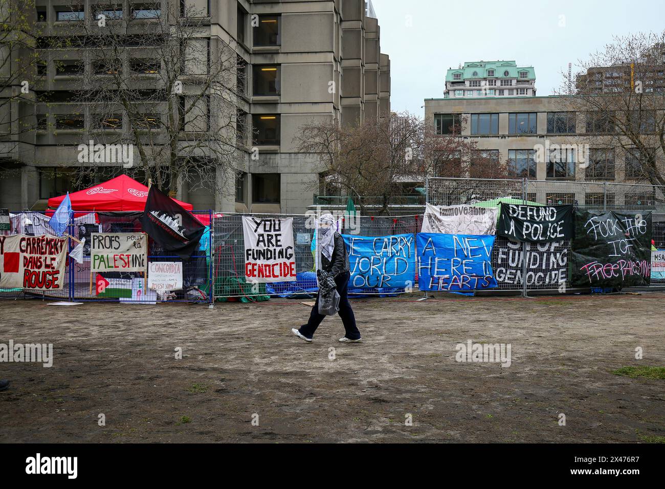 Die Demonstranten richteten am Samstagnachmittag etwa 100 Zelte auf, mit der Absicht, auf unbestimmte Zeit auf dem unteren Feld der McGill University zu bleiben. Stockfoto