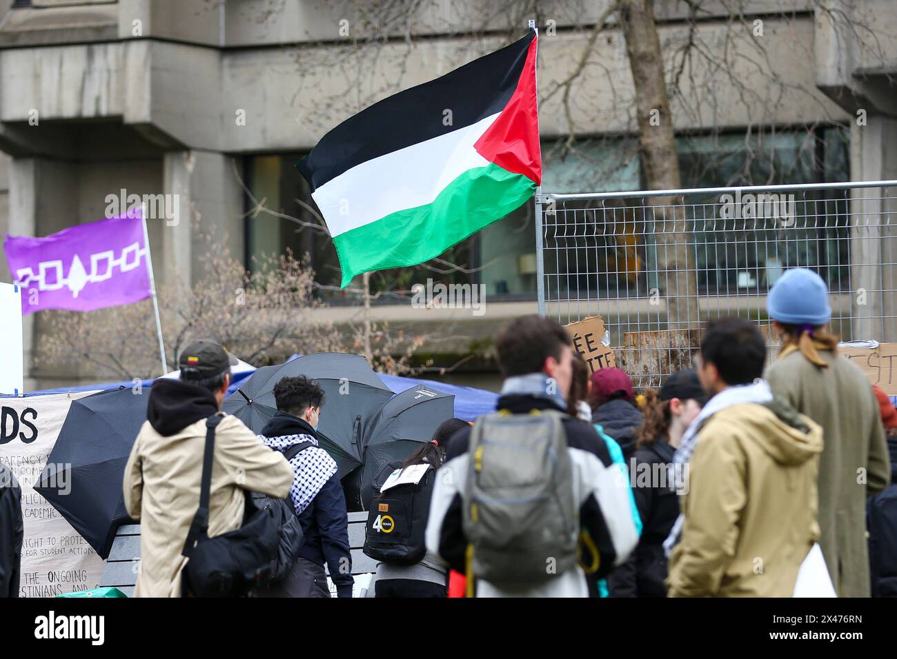 Die Demonstranten richteten am Samstagnachmittag etwa 100 Zelte auf, mit der Absicht, auf unbestimmte Zeit auf dem unteren Feld der McGill University zu bleiben. Stockfoto