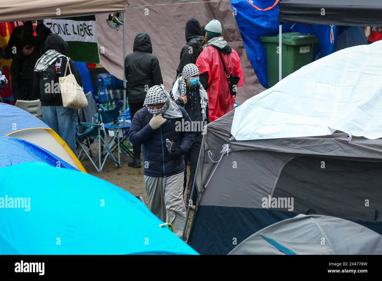 Die Demonstranten richteten am Samstagnachmittag etwa 100 Zelte auf, mit der Absicht, auf unbestimmte Zeit auf dem unteren Feld der McGill University zu bleiben. Stockfoto