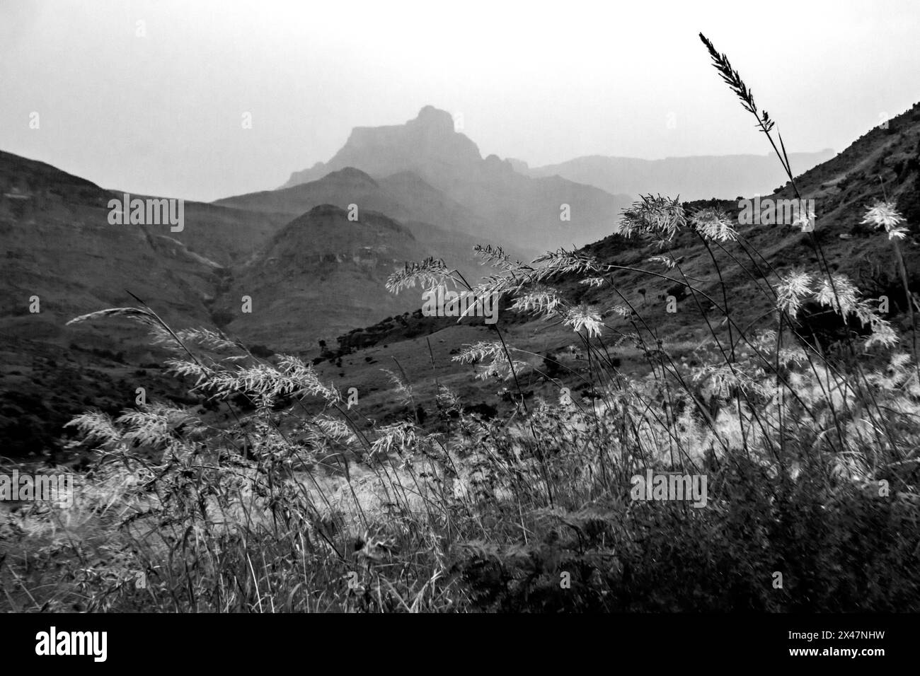 Die unpassierbaren Basaltklippen der Drakensberg Mountains in Südafrika in Schwarz-weiß Stockfoto
