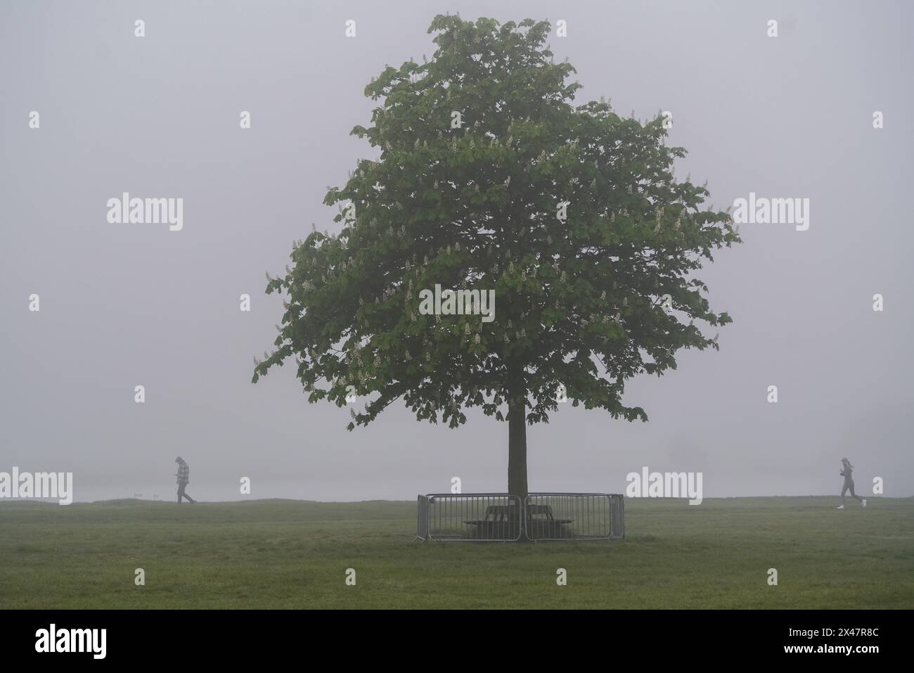 London, Großbritannien. Mai 2024. Wimbledon Common, Südwesten Londons, bedeckt von dichtem Morgennebel. Quelle: amer Gazzal/Alamy Live News Stockfoto