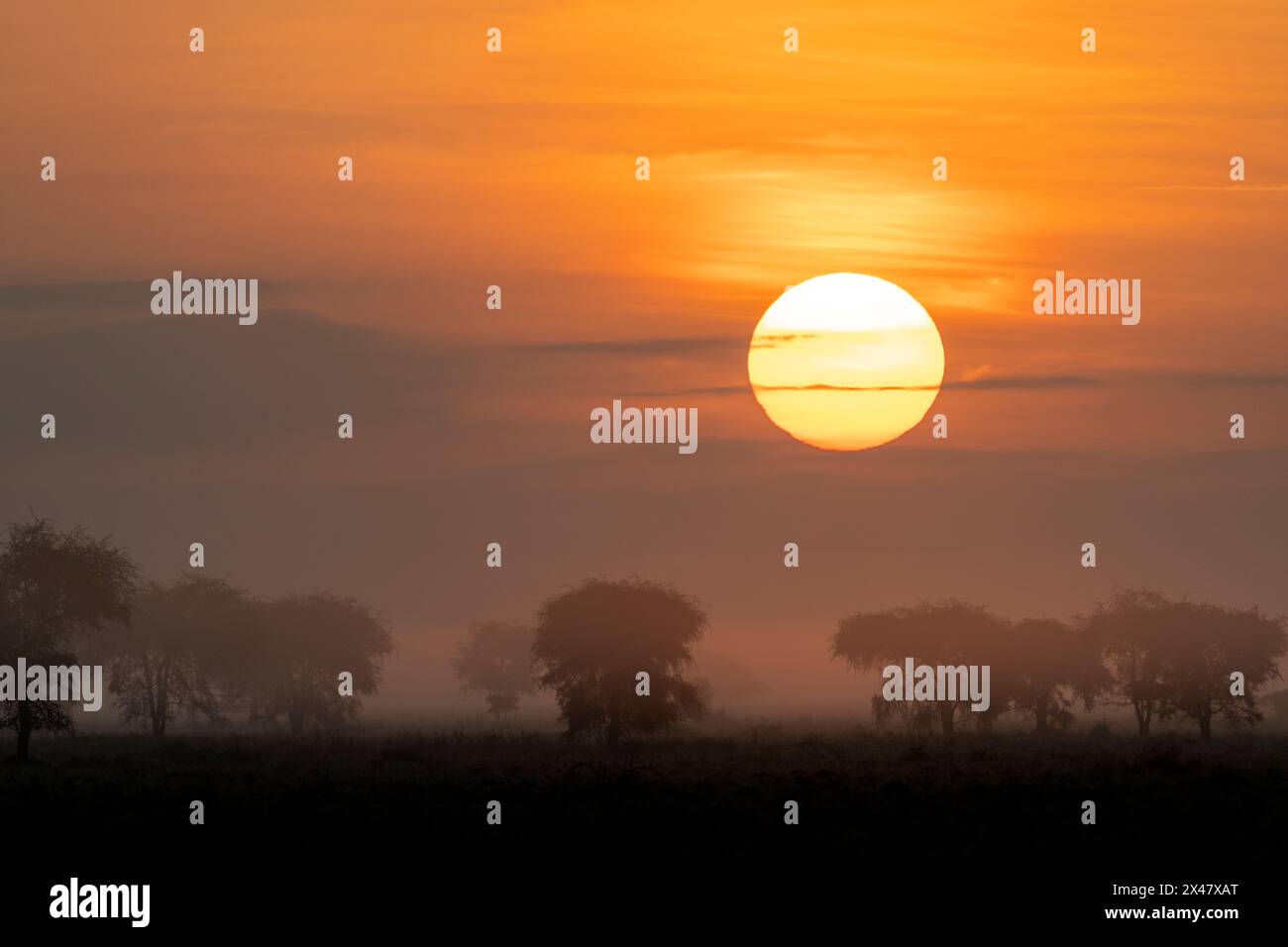 Afrika, Tansania. Die Sonne geht über der nebeligen Landschaft auf. Stockfoto