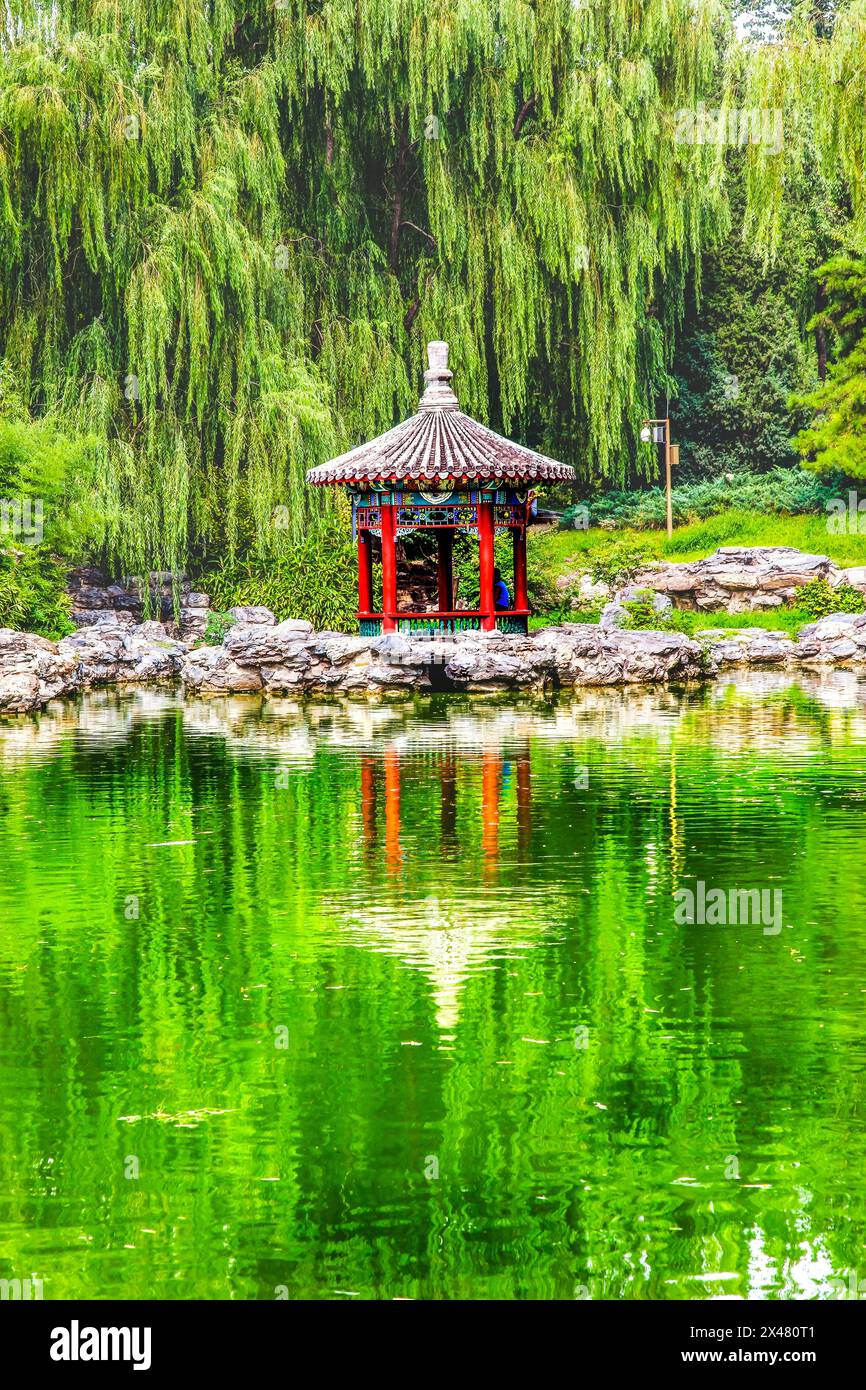 Roter Pavillon Teich Reflexionsgarten, Tempel der Sonne Stadtpark, Peking, China. Grüne Weidenbäume Stockfoto