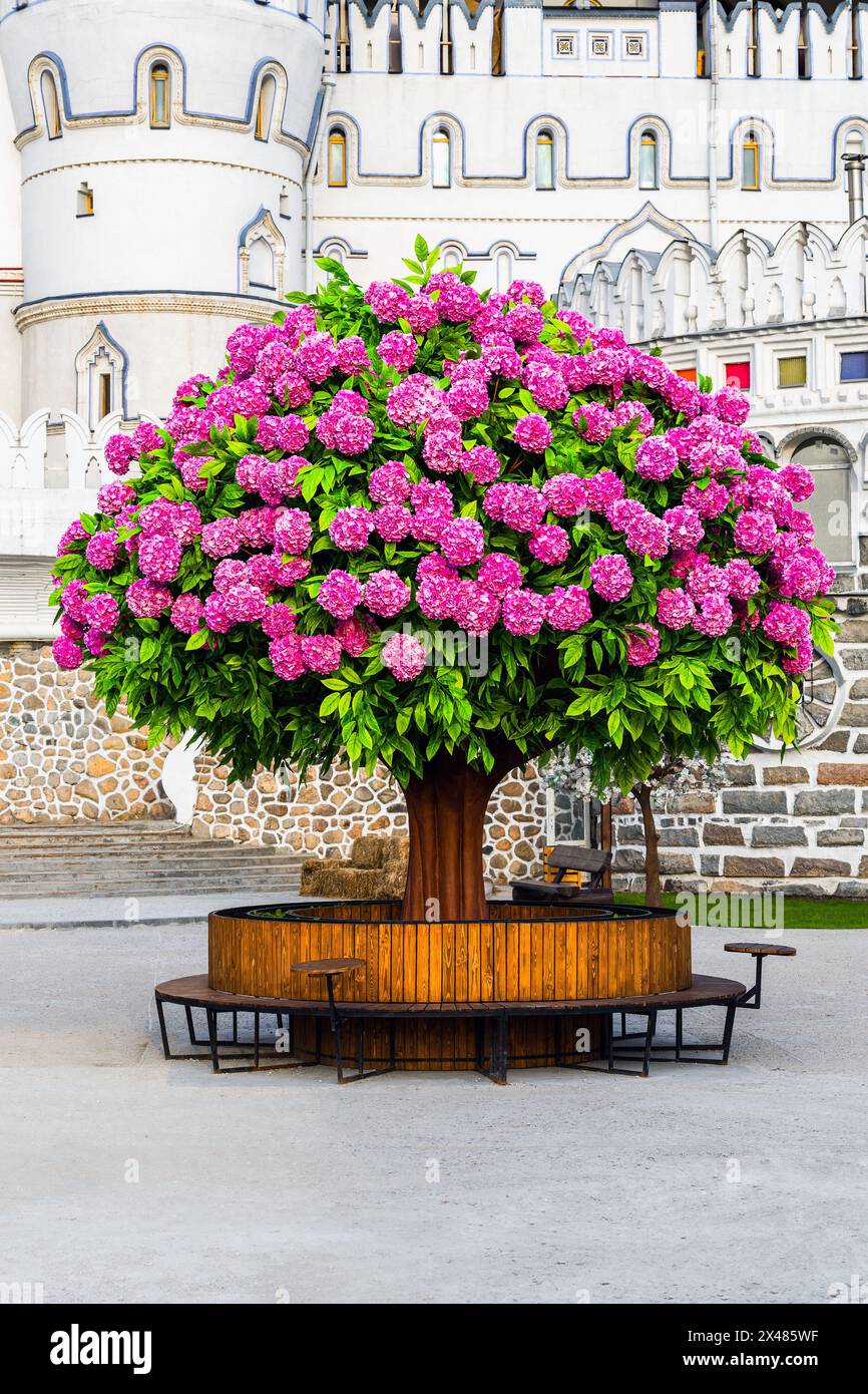 Dekorativer Baum mit violetten Blumen im Park. Großer dekorativer Baum im Hof. Cooler Baum Stockfoto