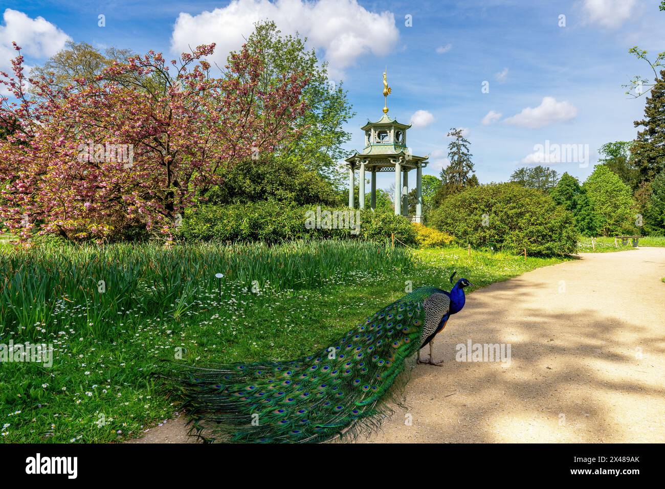 Chinesischer Kiosk im Bagatelle-Park - Paris, Frankreich Stockfoto