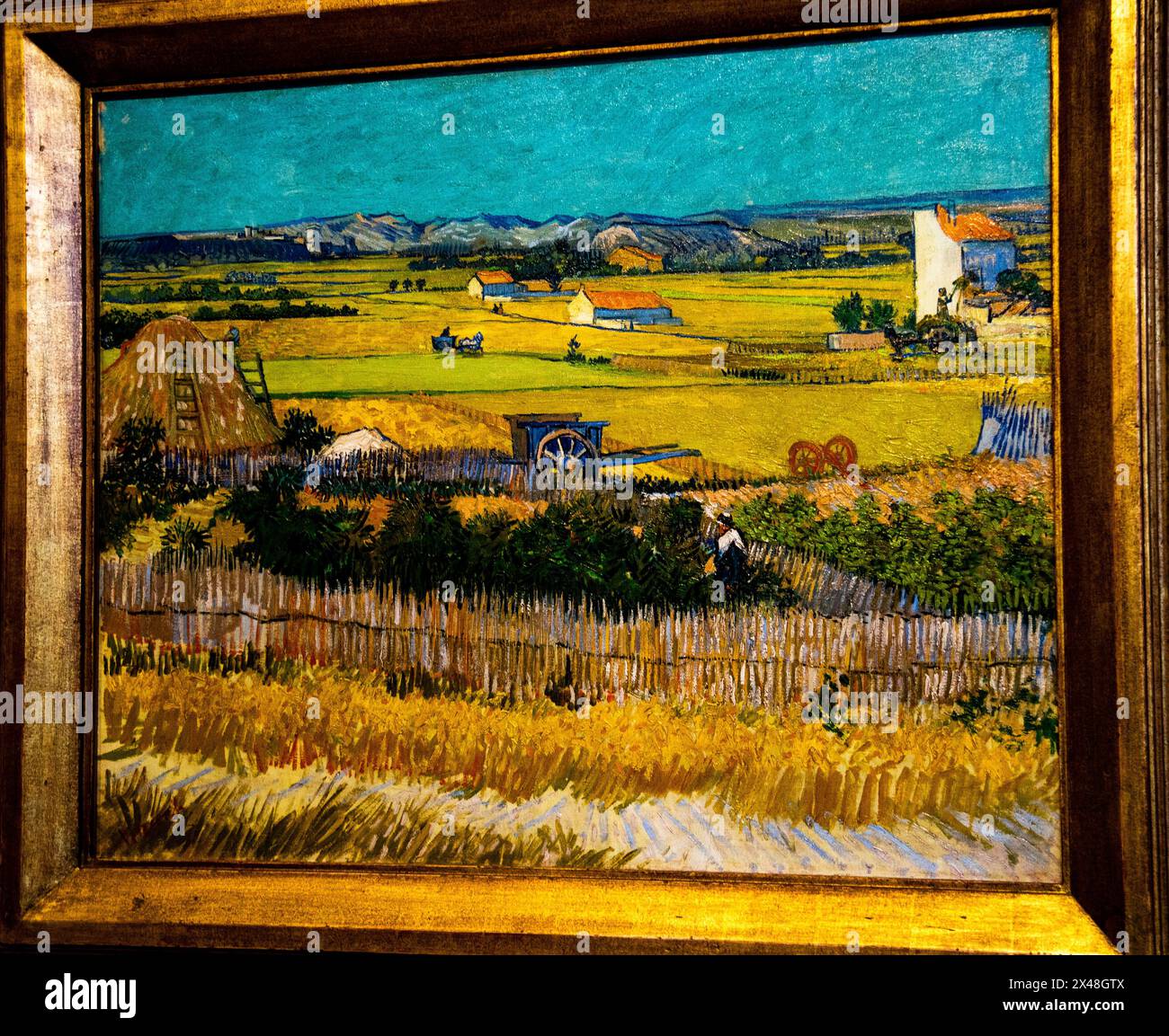 Die Ernte im La Crau Van Gogh Museum in Amsterdam, Niederlande. Stockfoto