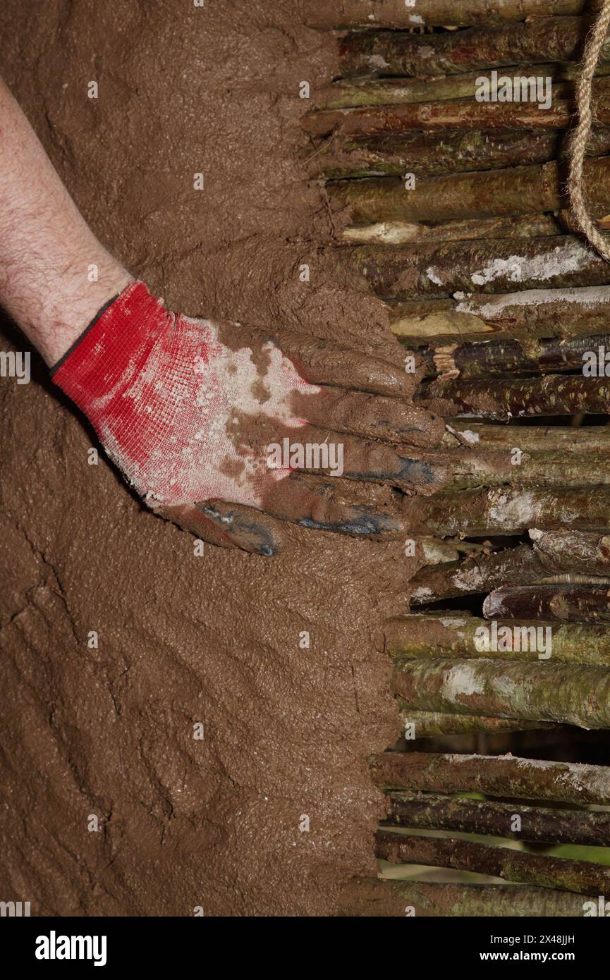 Person mit Handschuhen, die Daub auf Eine Wattmauer im Gebäude Einer Rekonstruktion eines Eisenzeit-Roundhouse, Großbritannien, aufträgt Stockfoto
