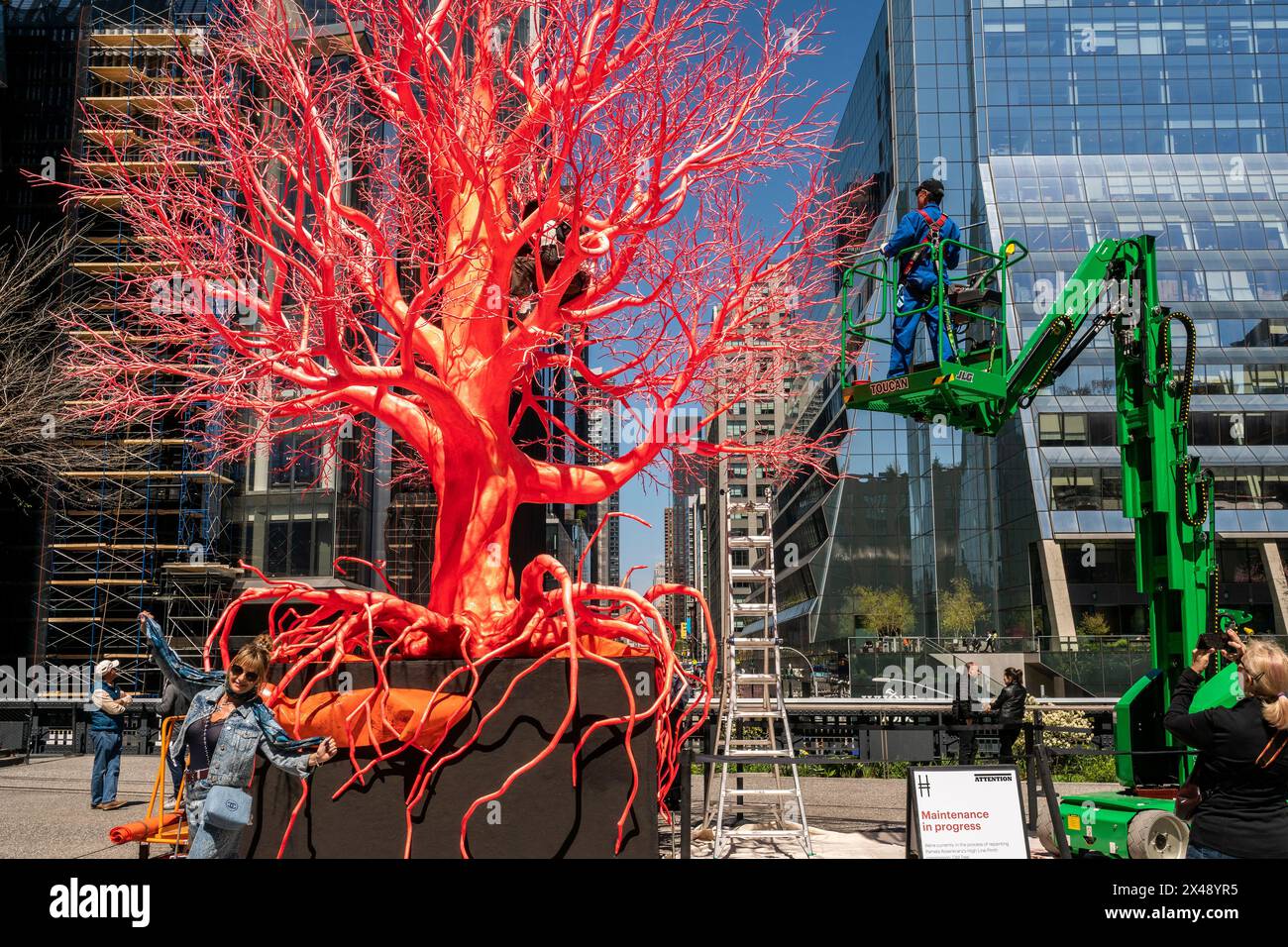 Arbeiter pflegen am Dienstag die Installation „Old Tree“ der Künstlerin Pamela Rosenkranz auf der High Line Spur in New York. April 2024. Die Skulptur, die an Blutgefäße und menschliche Organe erinnert, ist bis September 2024 zu sehen. (© Richard B. Levine) Stockfoto