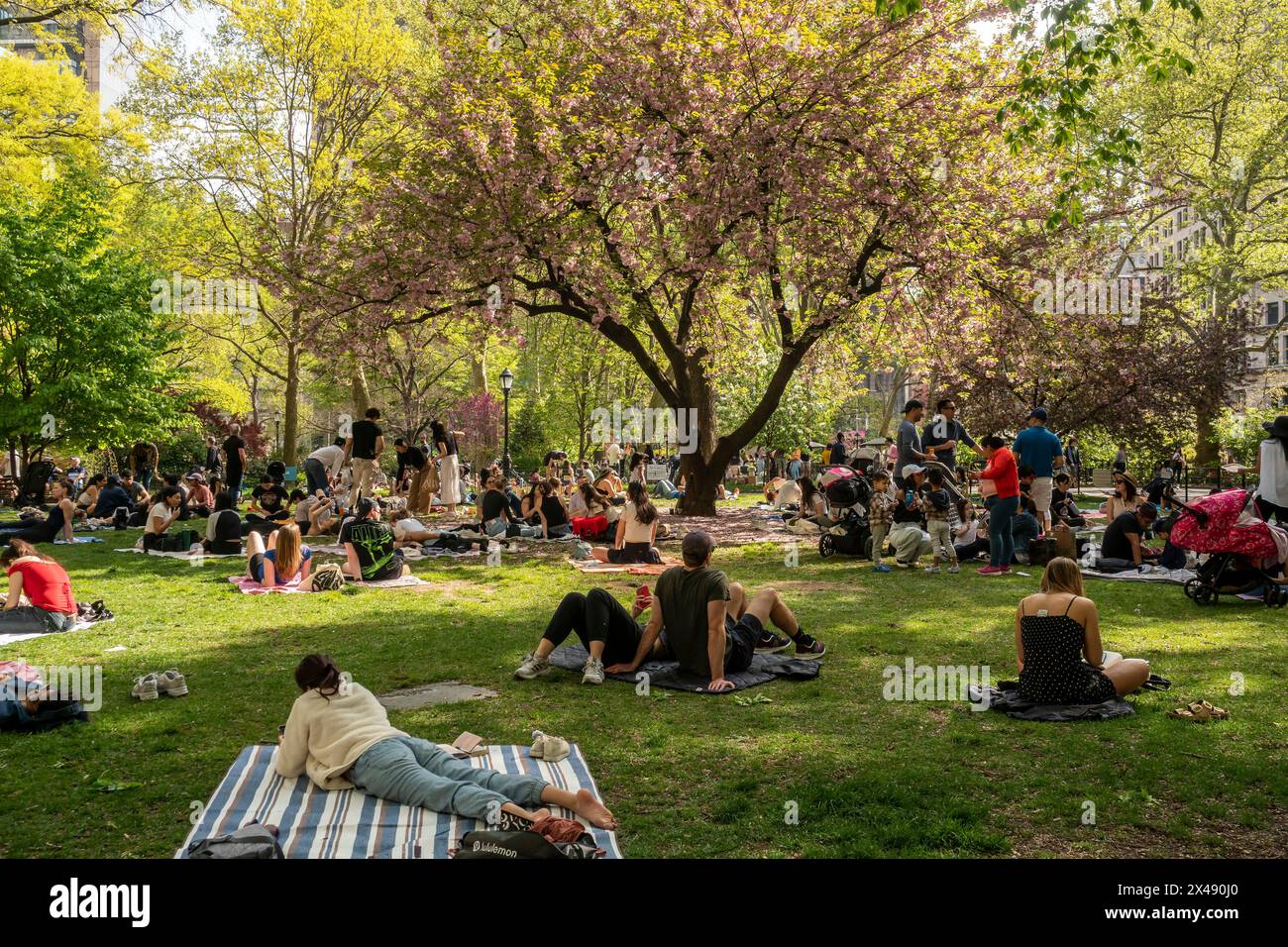 Die Menschen im Madison Square Park in New York nutzen das ungewöhnlich warme Wetter am Sonntag, den 28. April 2024. (© Richard B. Levine) Stockfoto