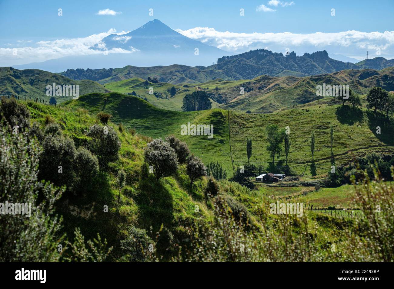 Mt Taranaki von Strathmore Saddle auf dem Forgotten World Highway, North Island, Neuseeland Stockfoto